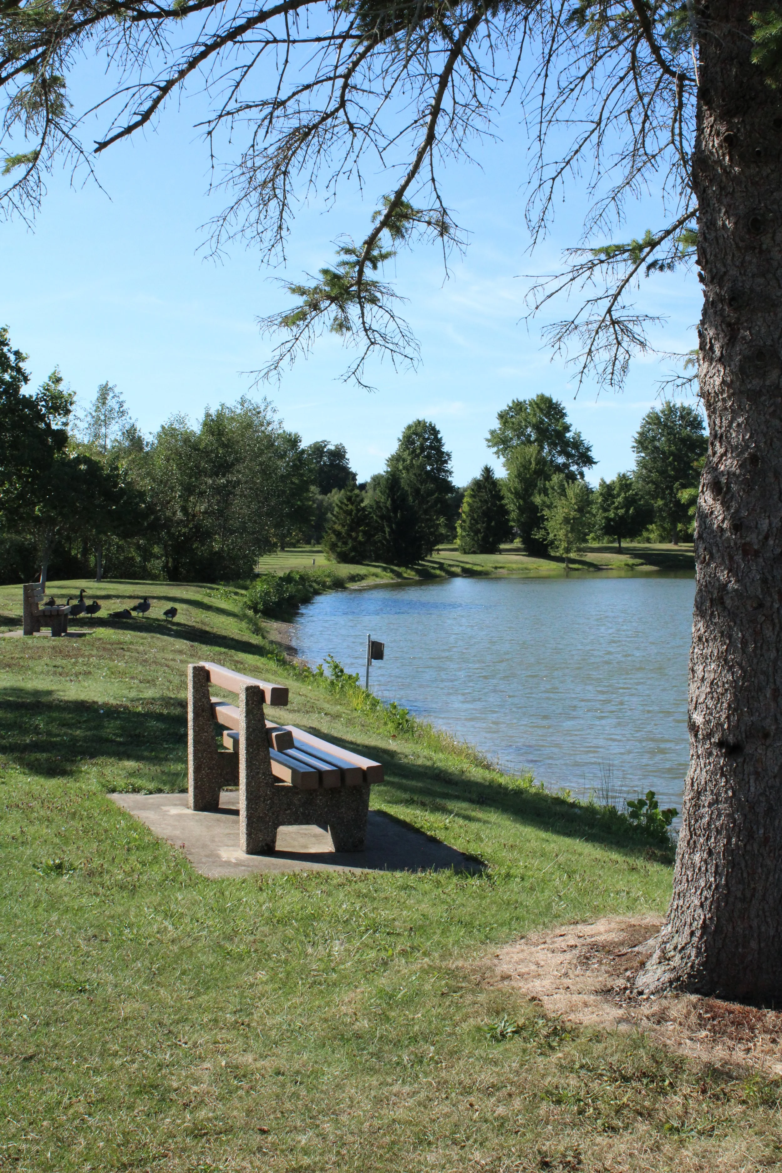 Something You Like.JPG