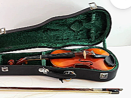 Nagoya%2BSuzuki%2Bviolin.png