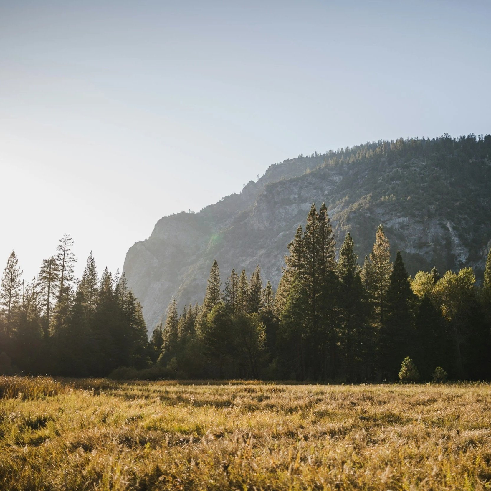 peaceful nature, nature therapy