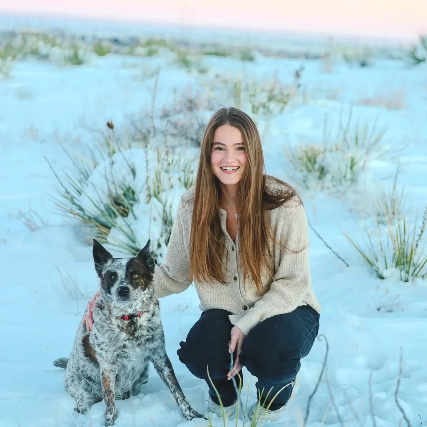 Eleanor McConnell, LPCC, and dog Ody offer animal-assisted therapy in Colorado Springs