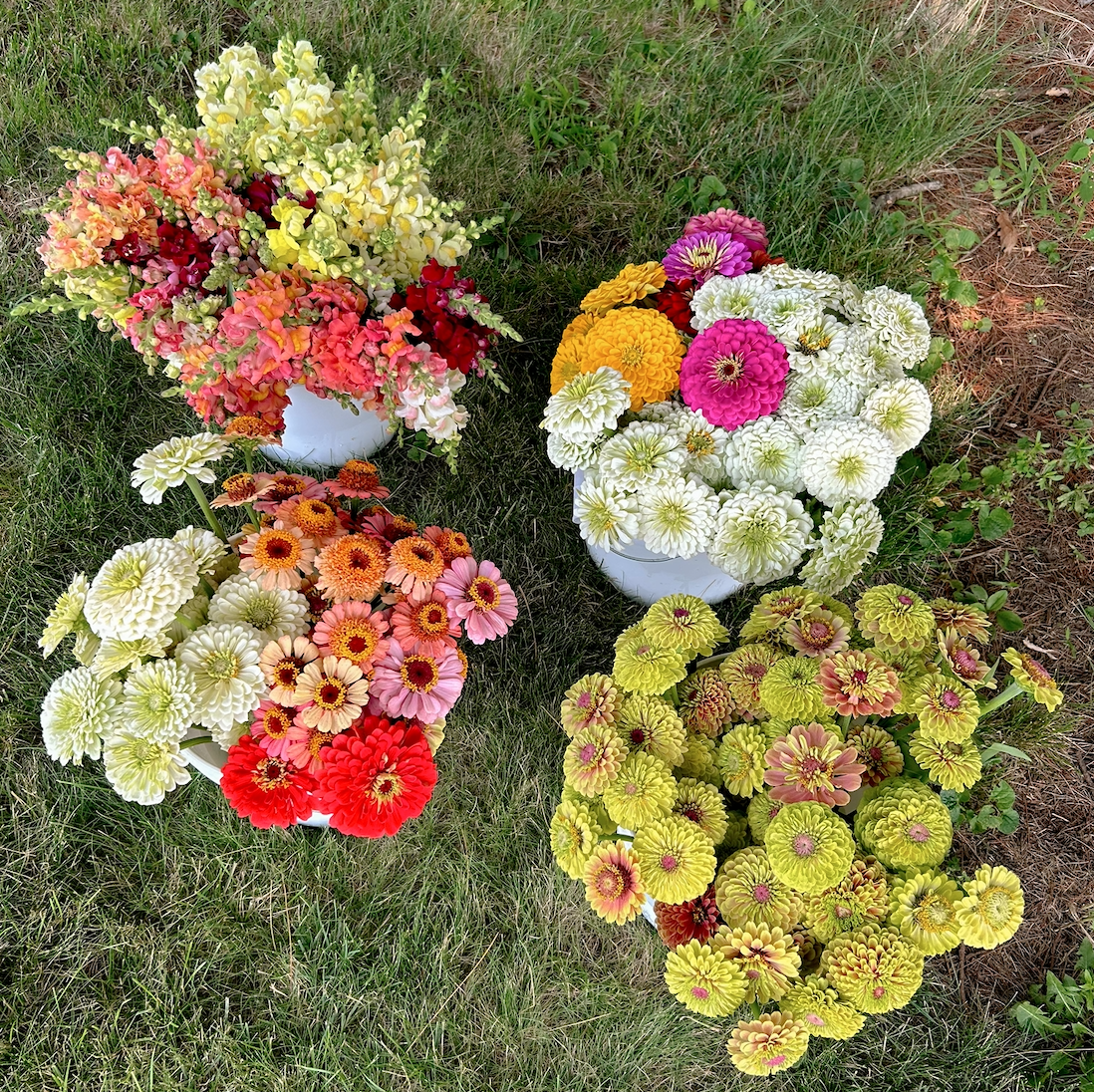 Summer  Flower Bucket