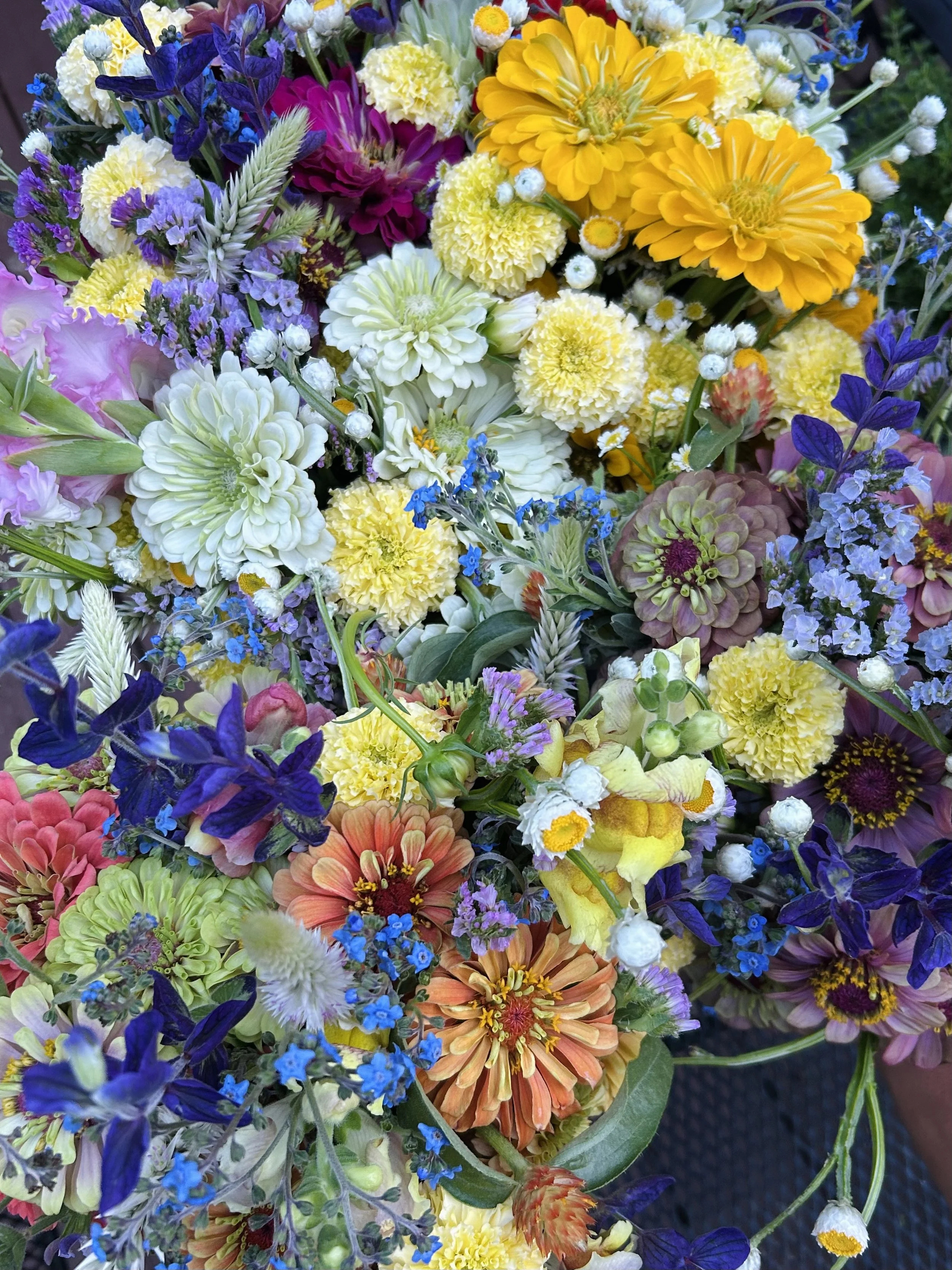 IMG_0637.jpeg