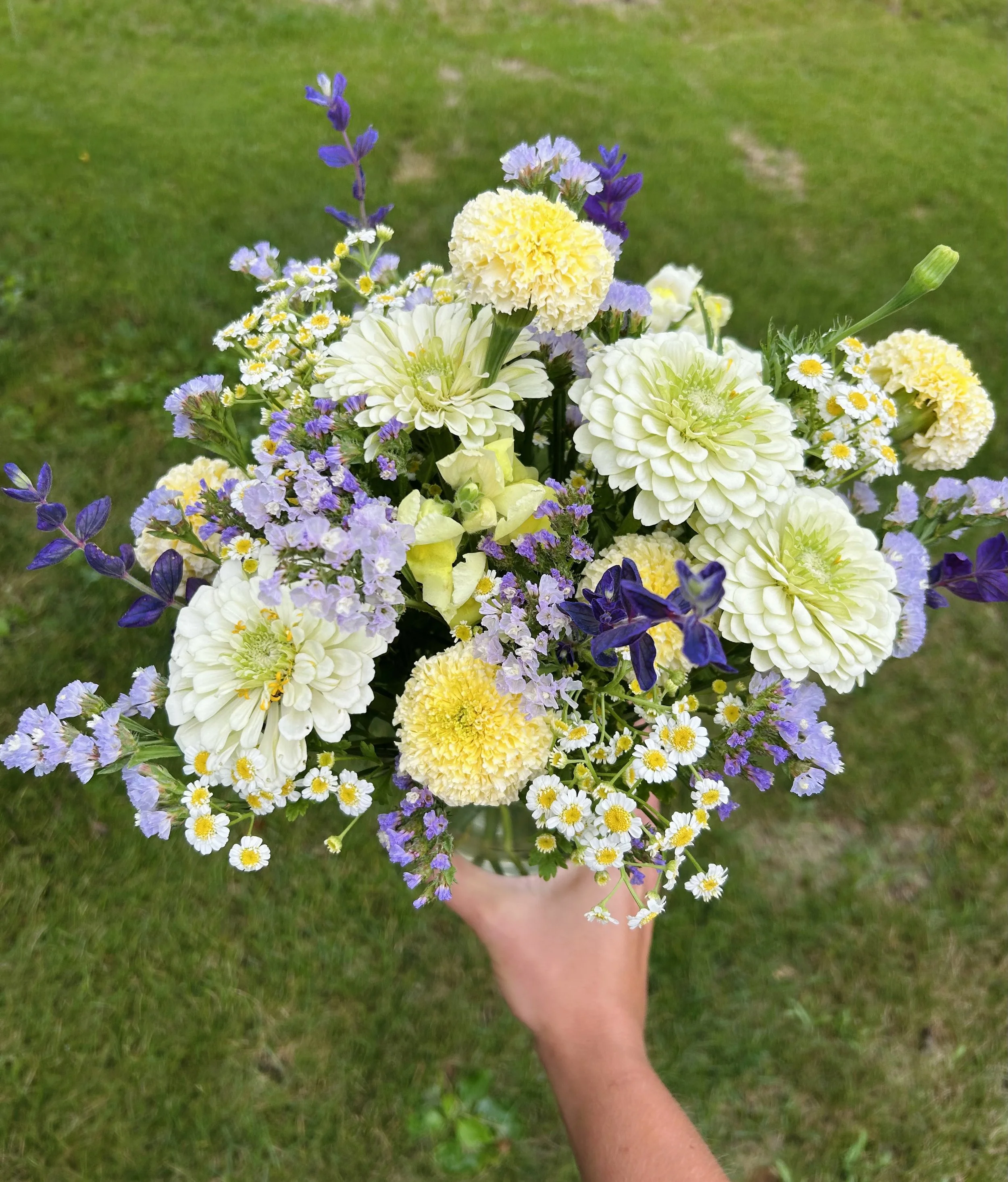IMG_0771.jpeg