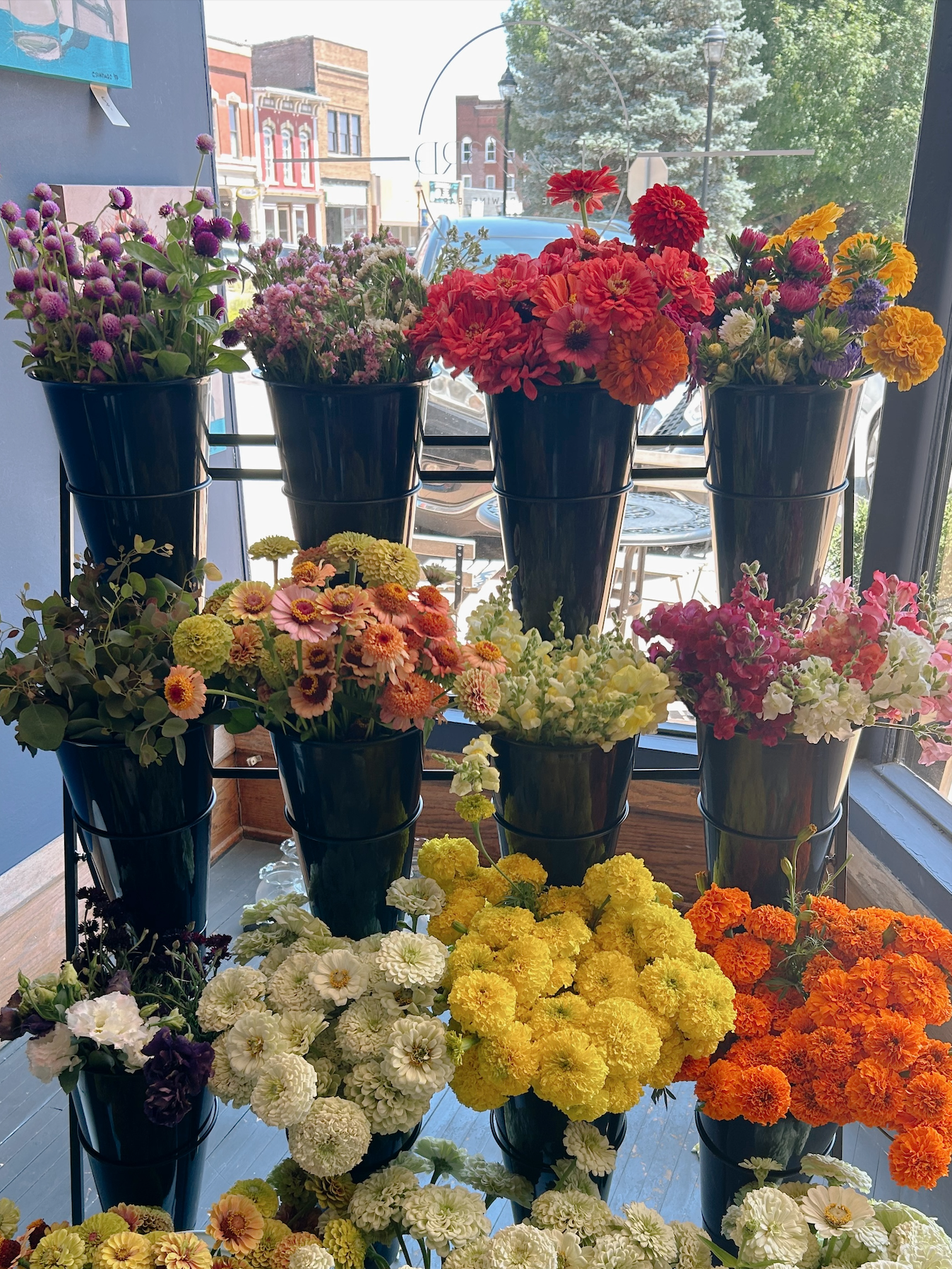 Bloom Display Rental