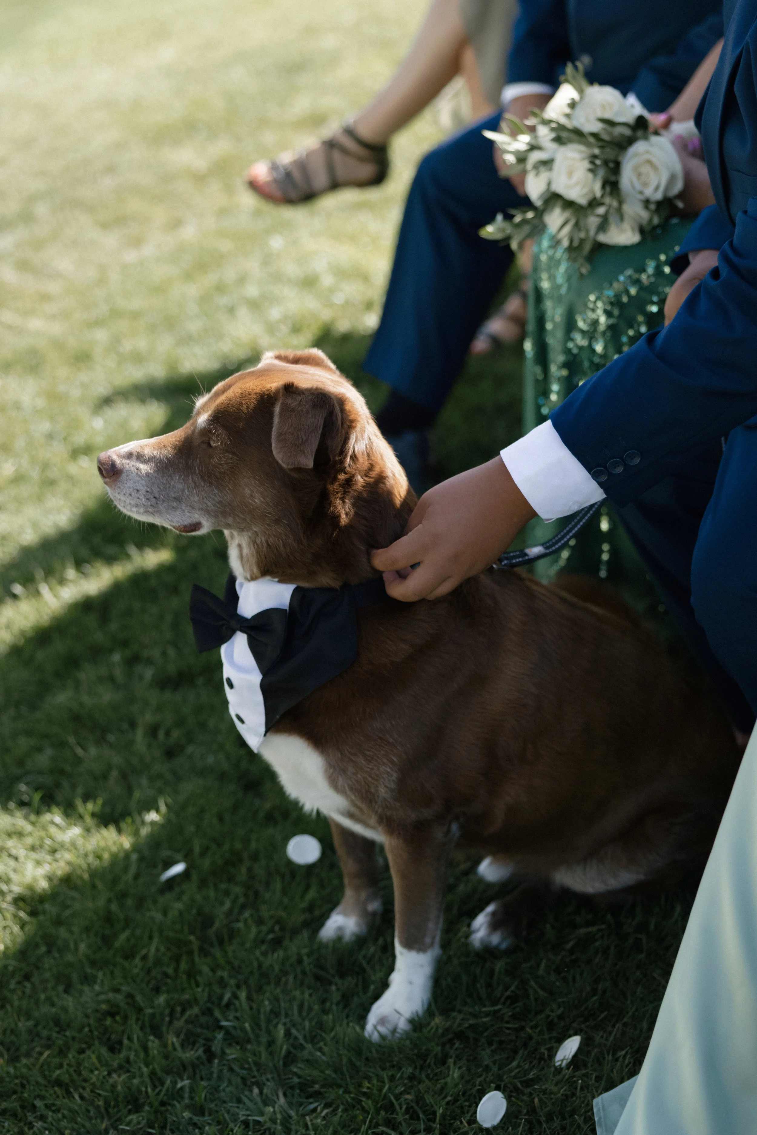 wedding-318.jpg