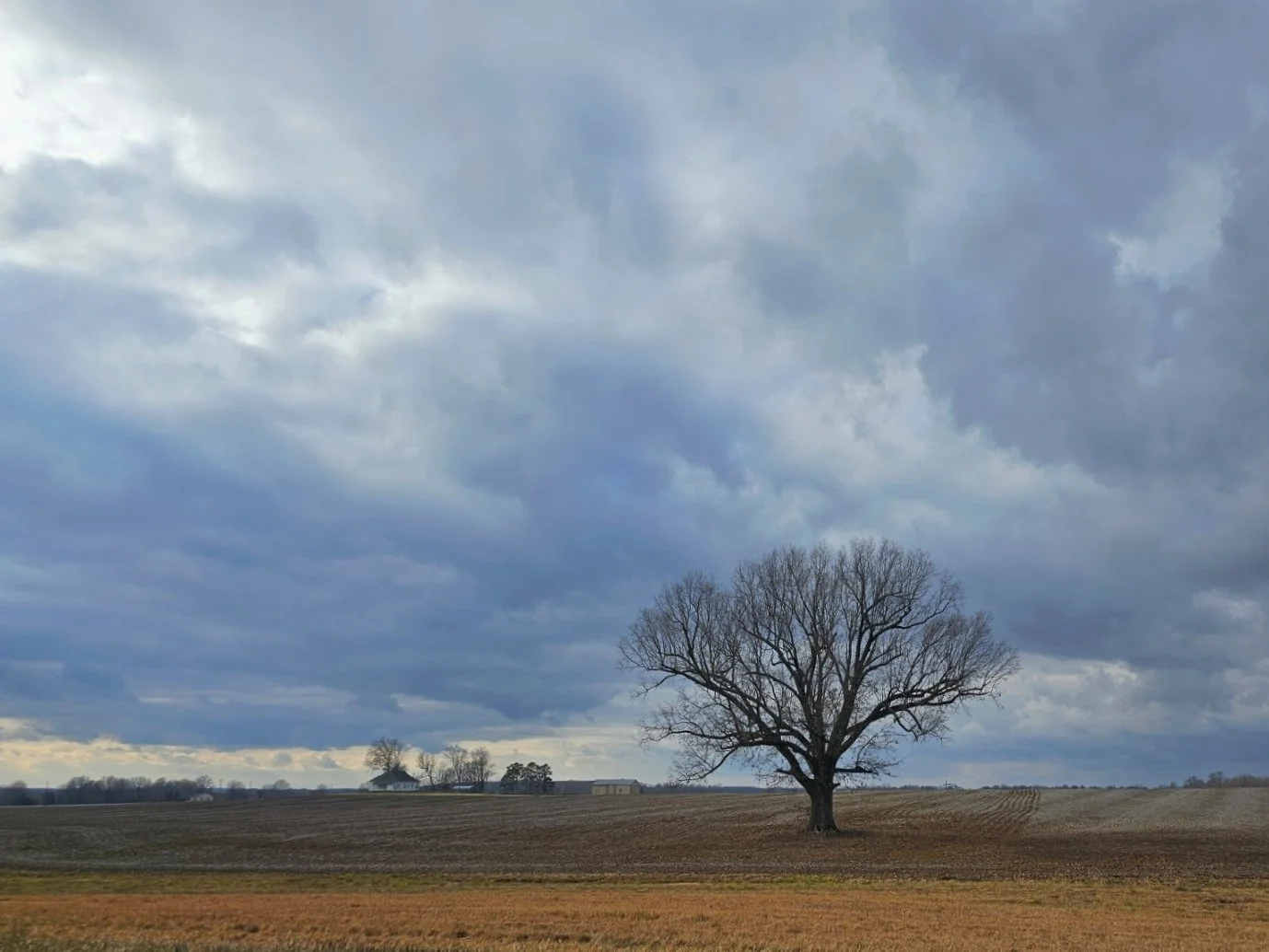 20240107_135322 - Variant 2.jpg