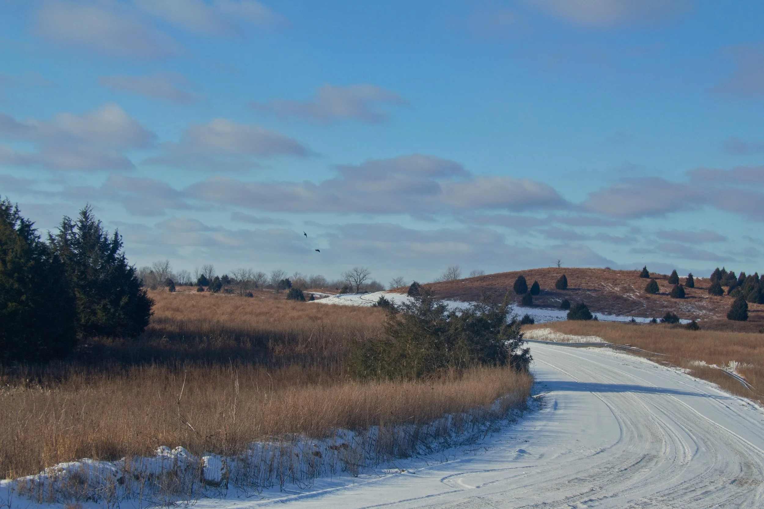 2024_01_16IMG_10_13_10EOS REBEL T5i1518.jpg