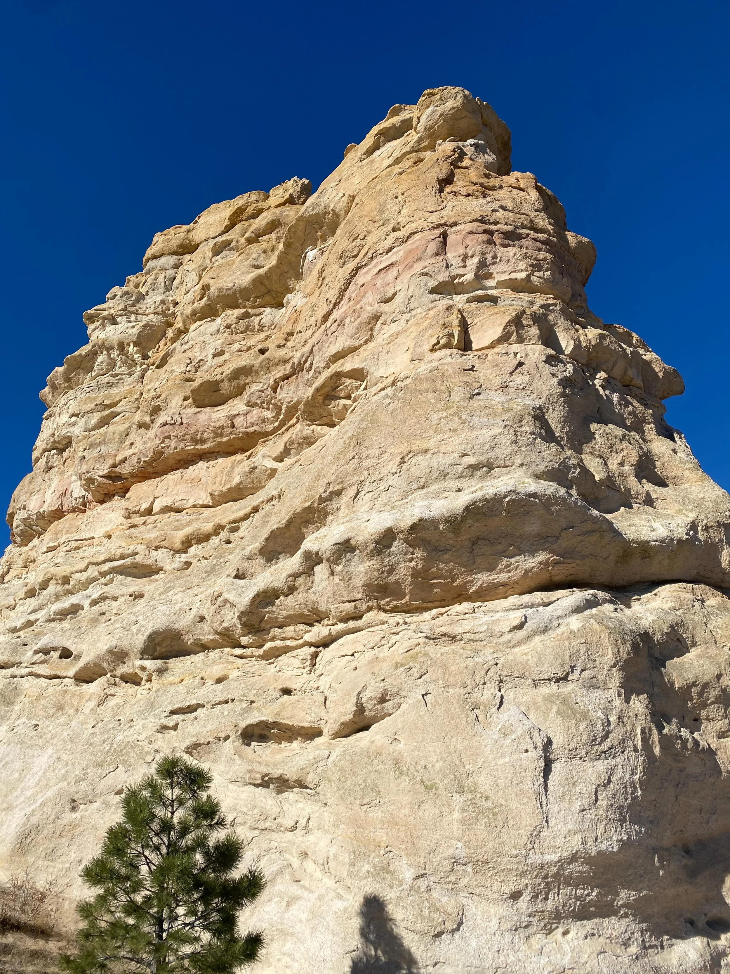 A little Monument history on this date. 
- Monuments first homesteaders arrived here in 1865
- In 1872 Monument became a stop on the Rio Grande Railroad 
- The area was first incorporated as a Town called Henry&rsquo;s Station June 2, 1879 named afte