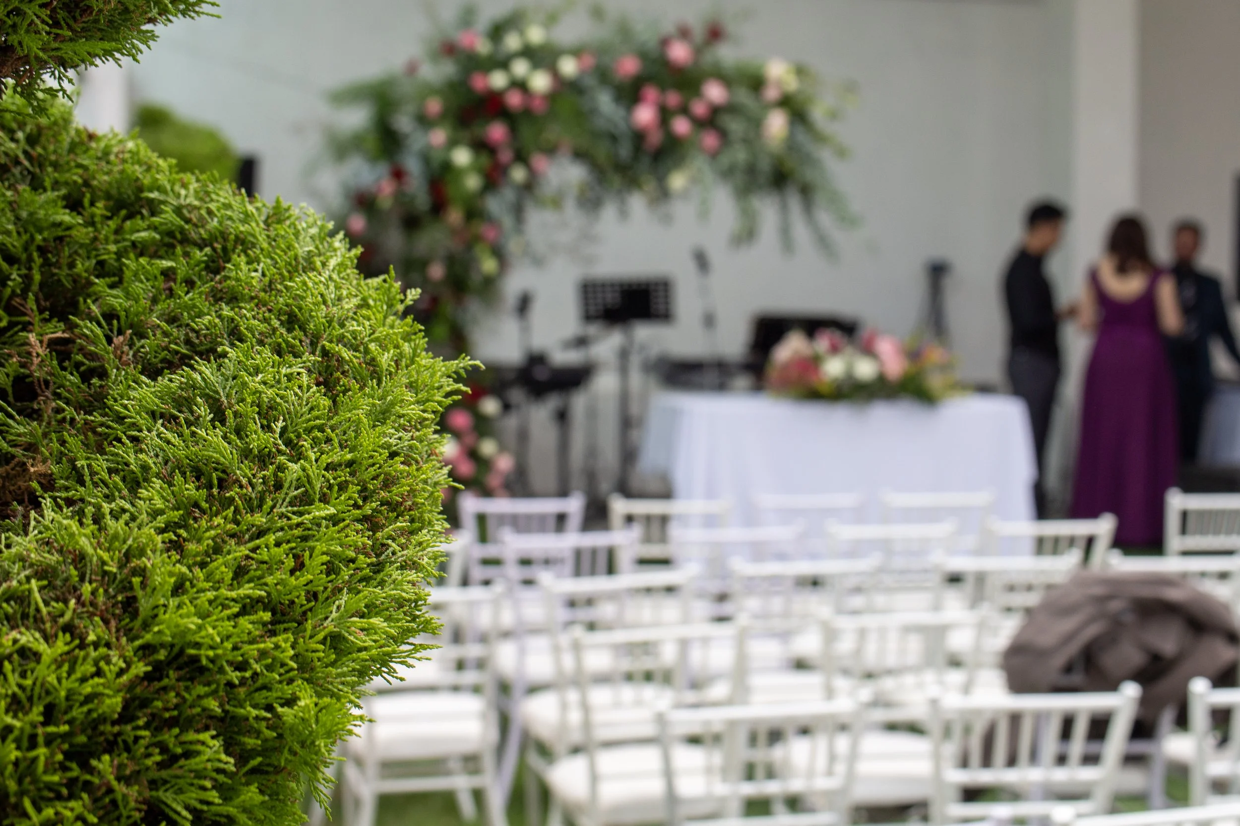 IMG_7609.jpg