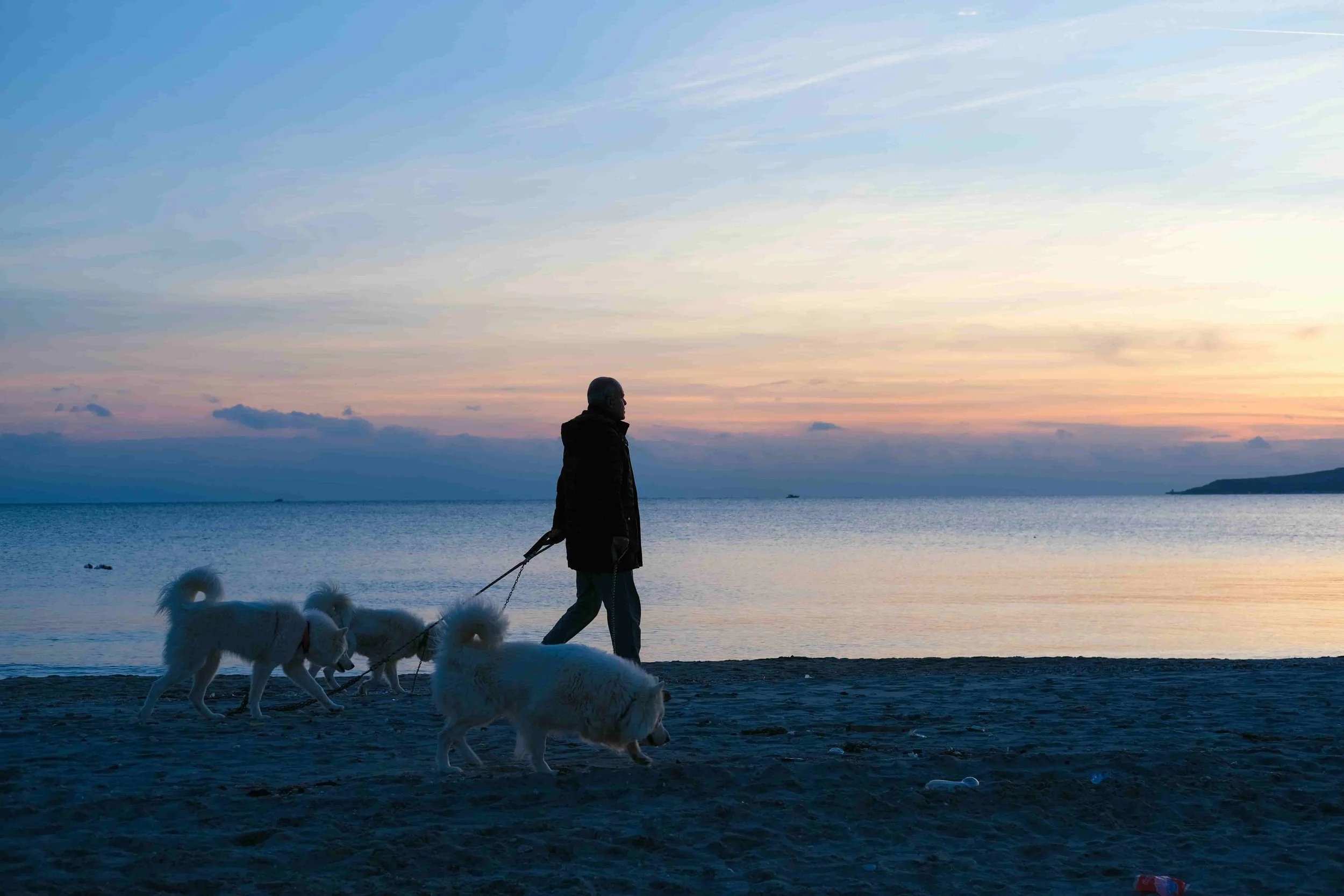 A man walking his dogs along a beach at sunset, with the ocean and sky in the background.