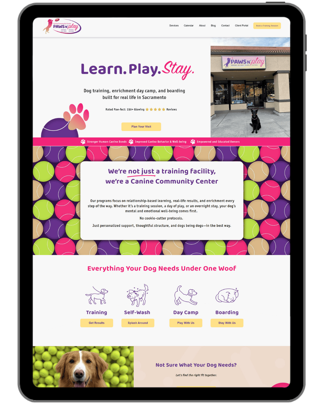 Paws N Play Home Page.png