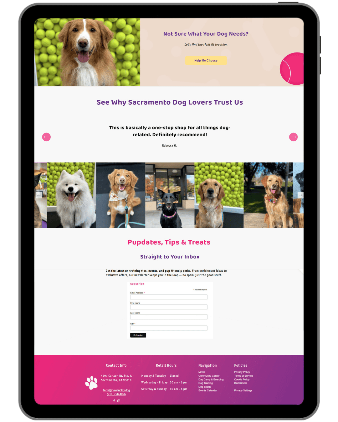 Paws N Play Home Page Bottom.png