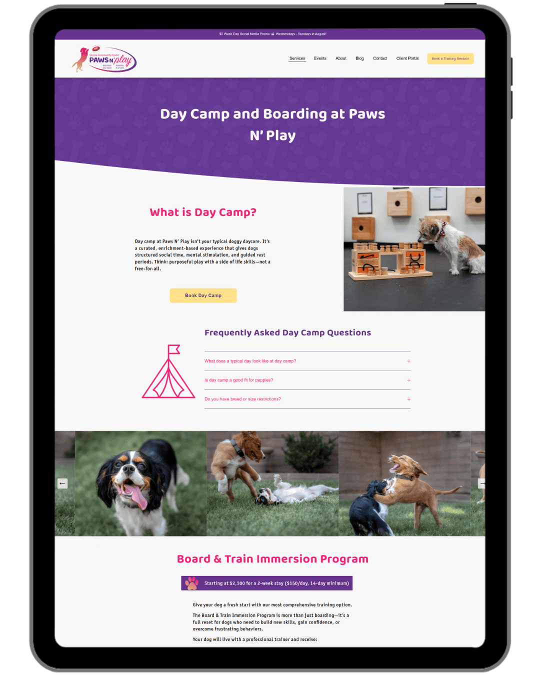Paws N Play Boarding Page.png