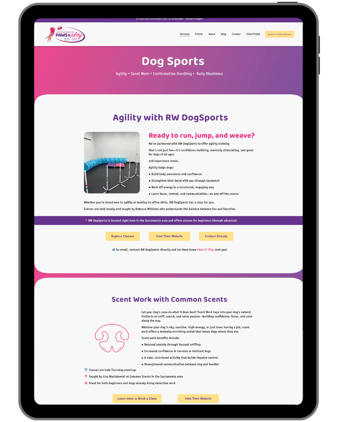 Paws N Play Dog Sport Page.png