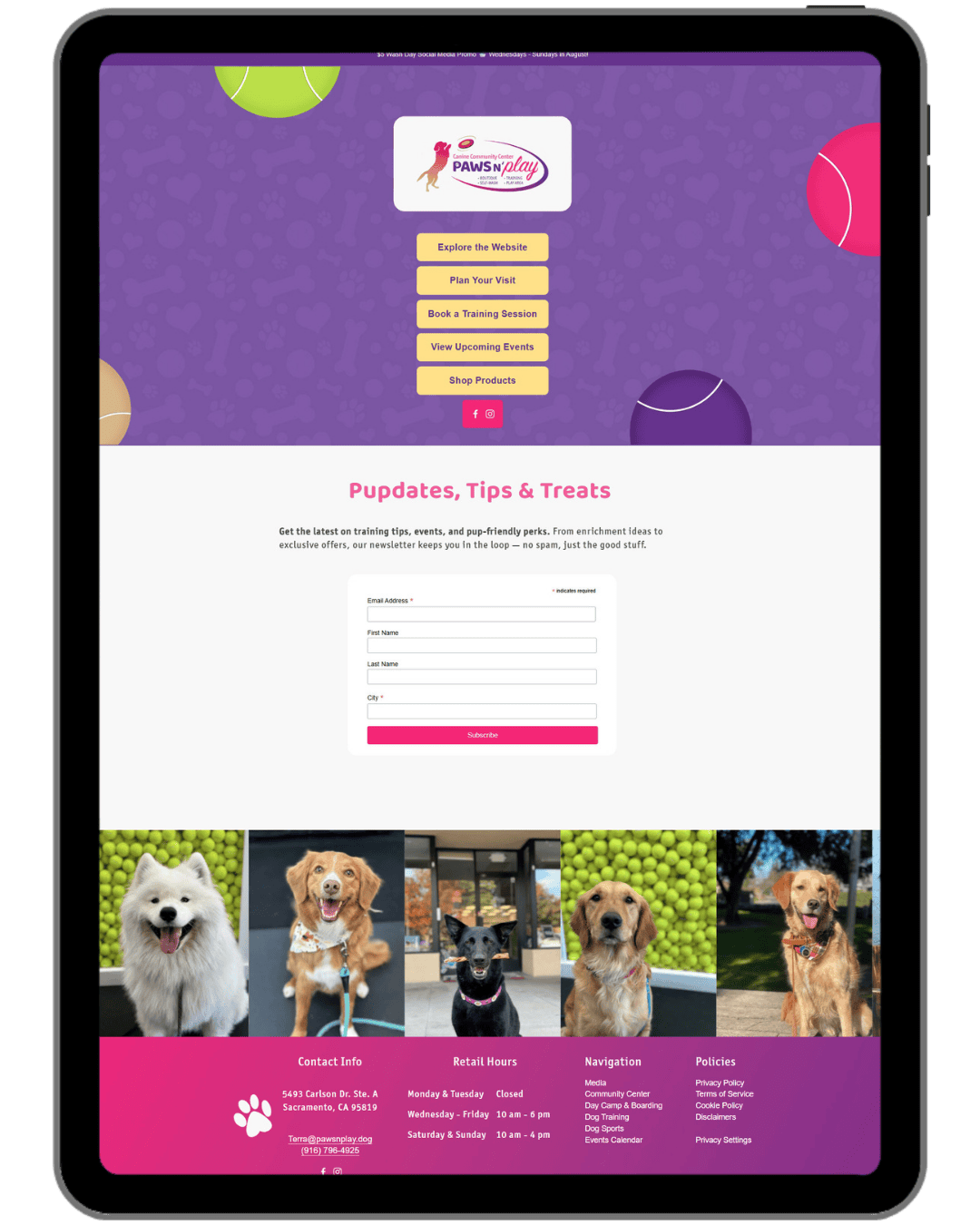 Paws N Play Link in Bio Page.png