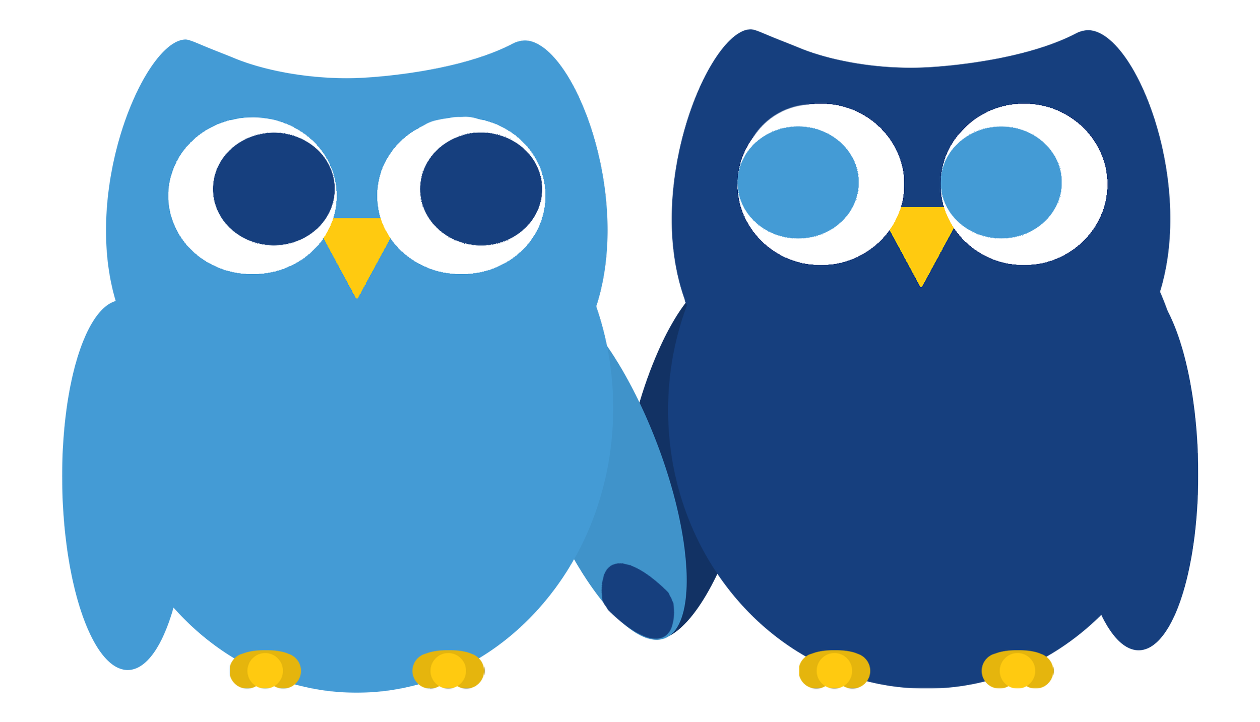A digital illustration of two cartoon owls named Lorem & Ipsum holding "hands" (wings)