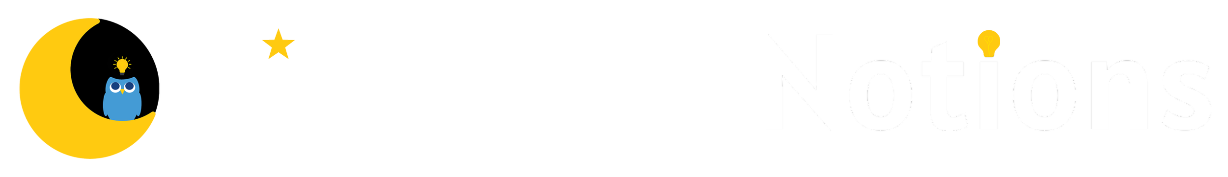 Logo for Night Owl Notions with a yellow crescent moon, an light blue owl sitting on the moon, and the text 'Night Owl Notions' with a star above the 'i' in 'Night' and a small light bulb above the 'i' in 'Notions'.