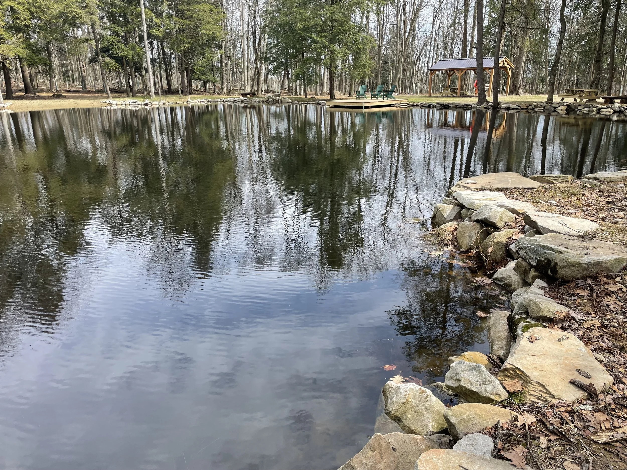 Wildlife Pond at Camp Site