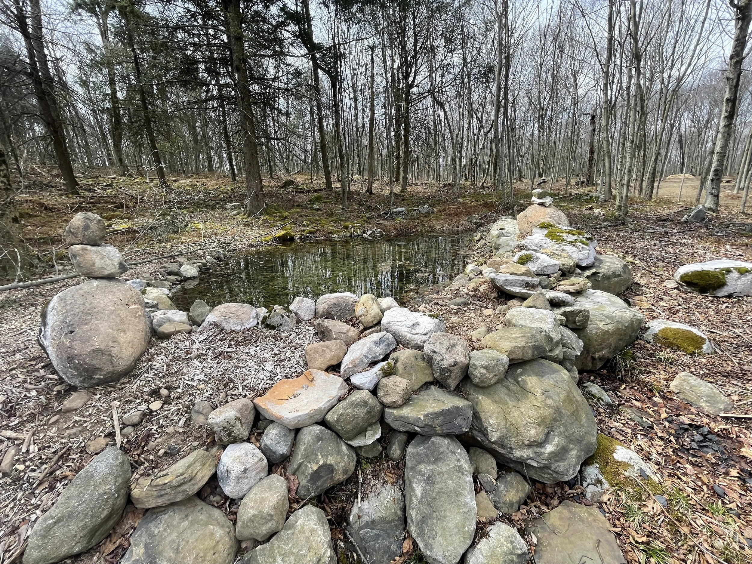 Small Pond Next To Camp Site