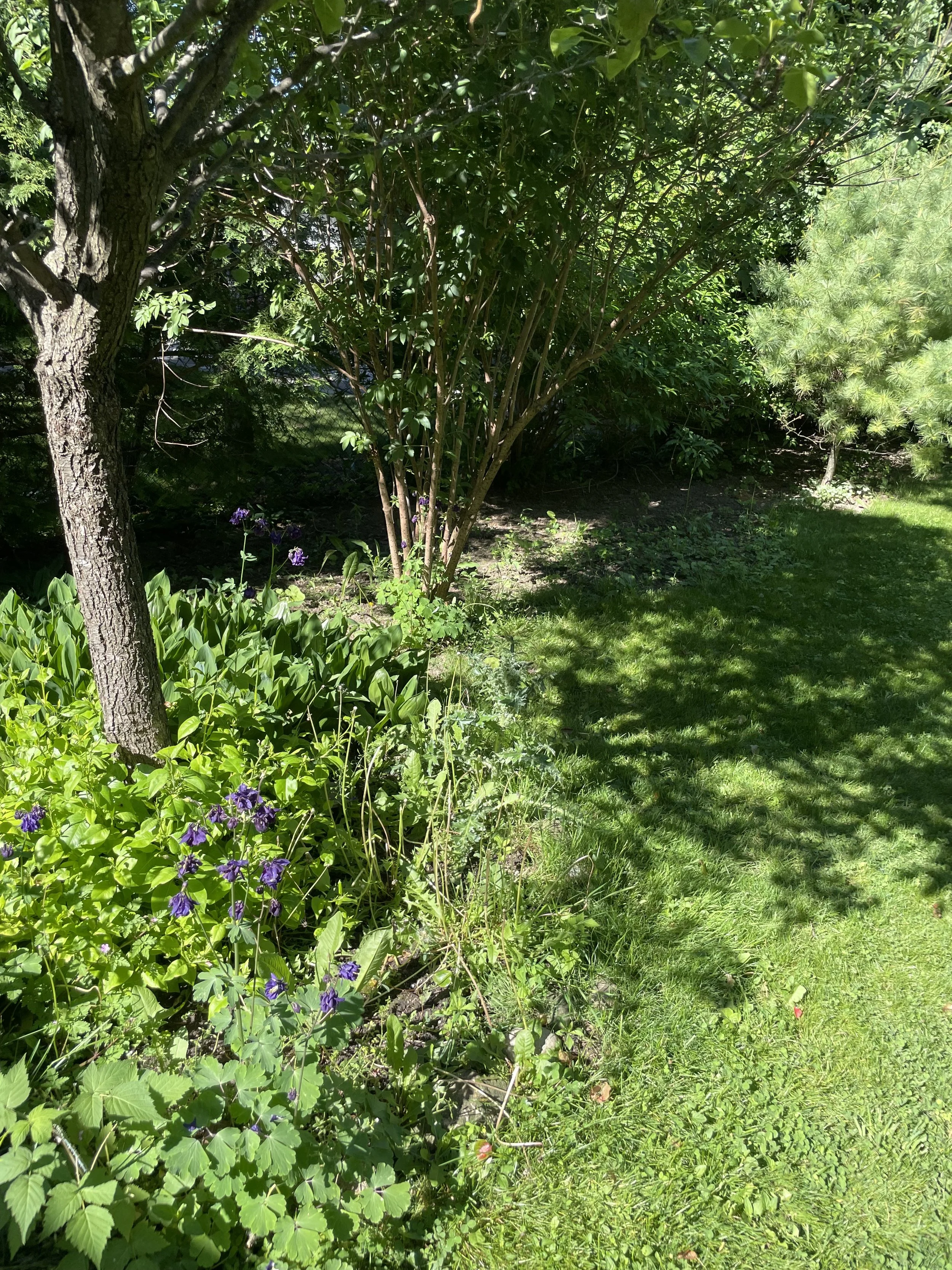 IMG_6286.jpeg