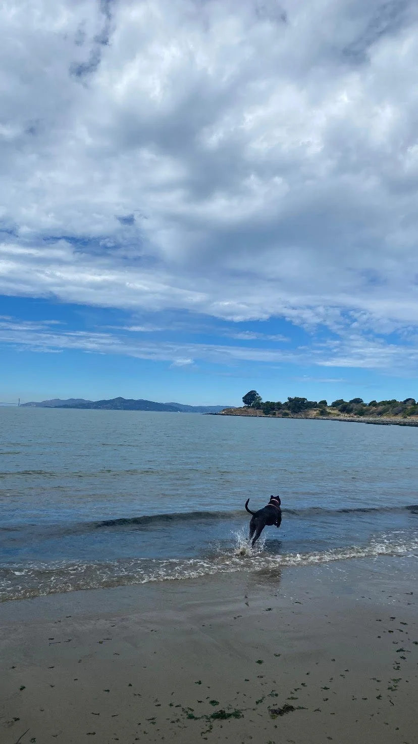 Albany Bulb Pepper.jpg