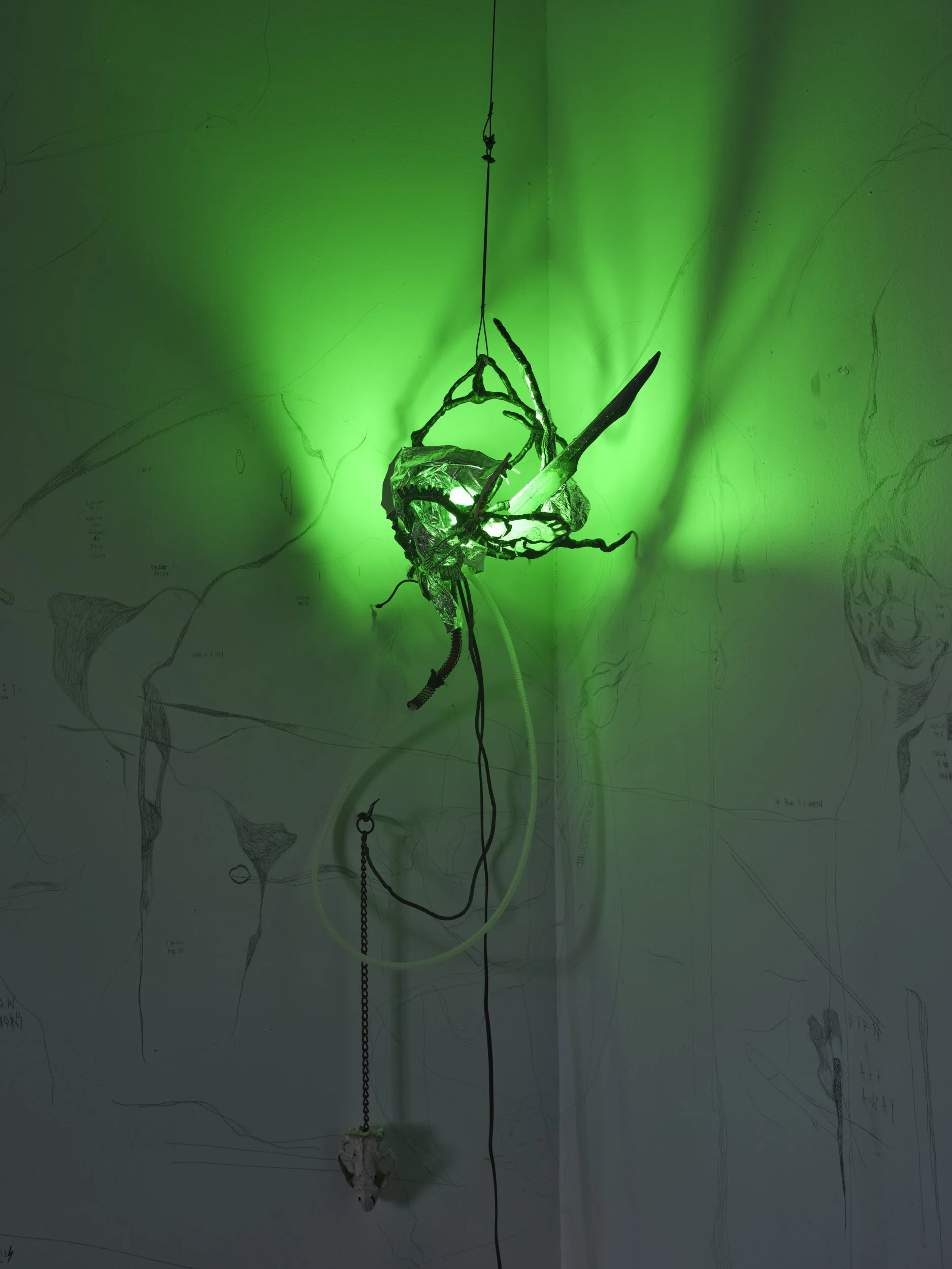 Christopher Tandy_8418_2500px_240dpi.jpg