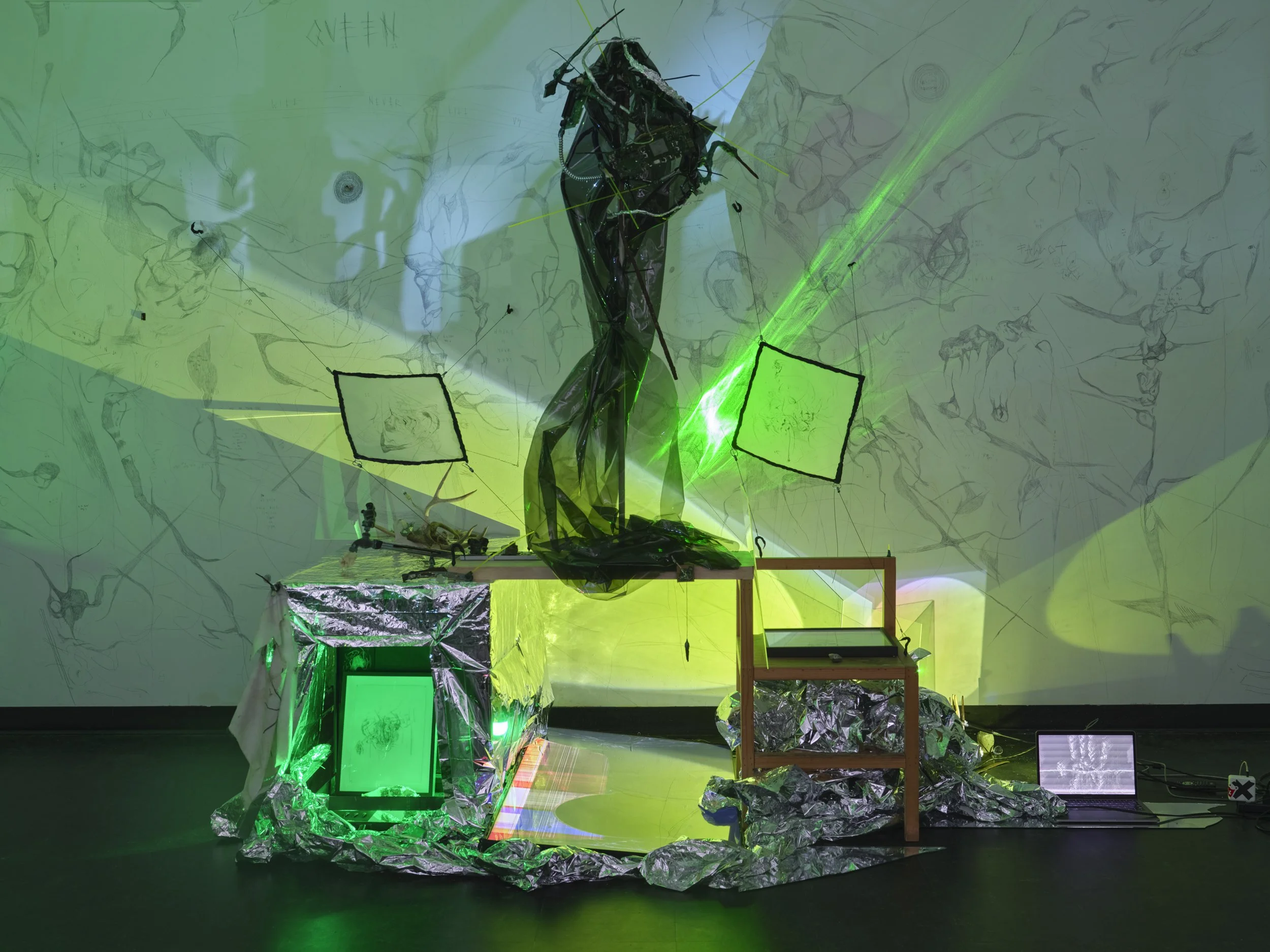 Christopher Tandy_8505_2500px_240dpi.jpg