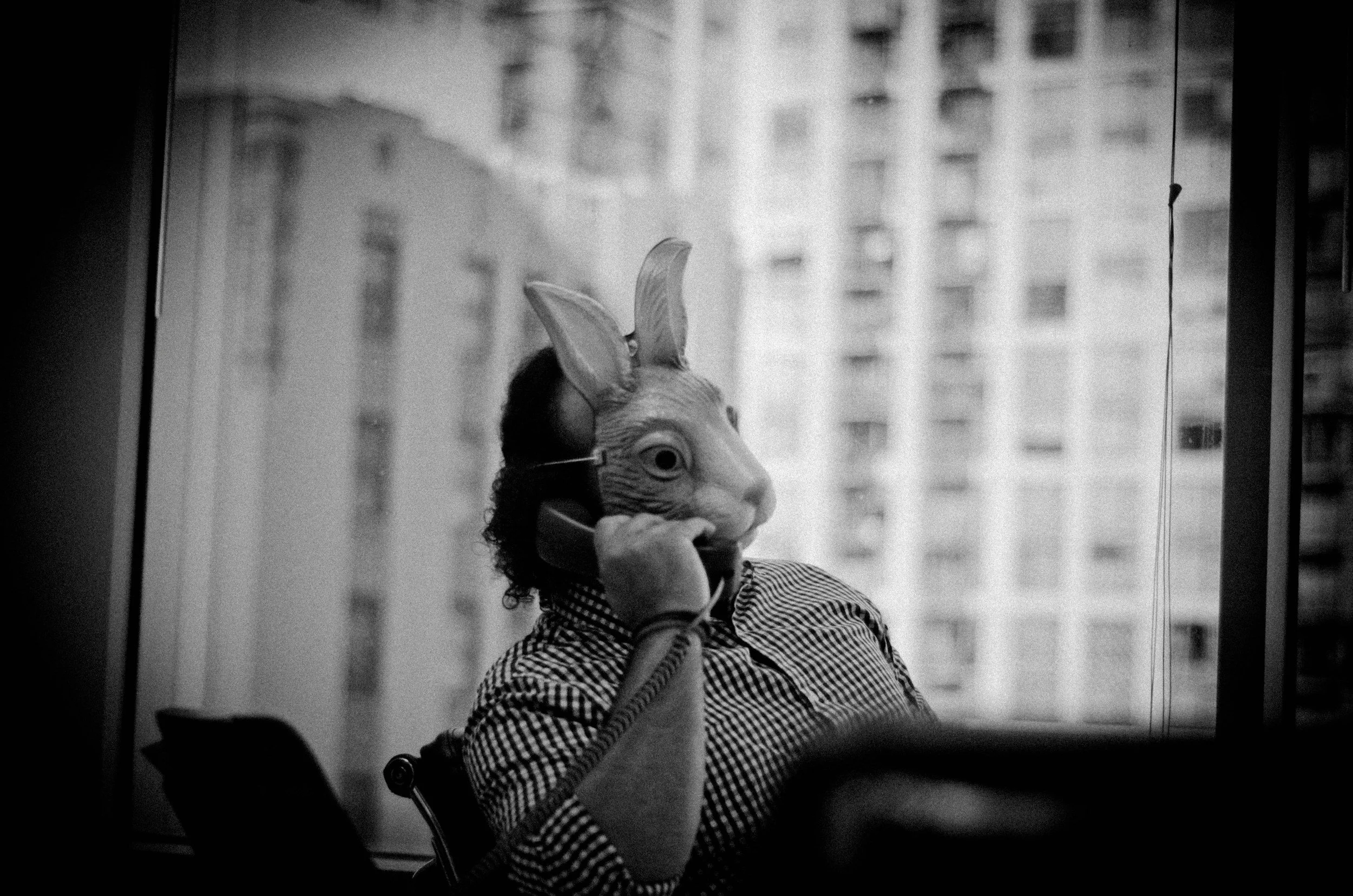 Person wearing a rabbit mask talking on a landline phone indoors, with city buildings visible through the window.