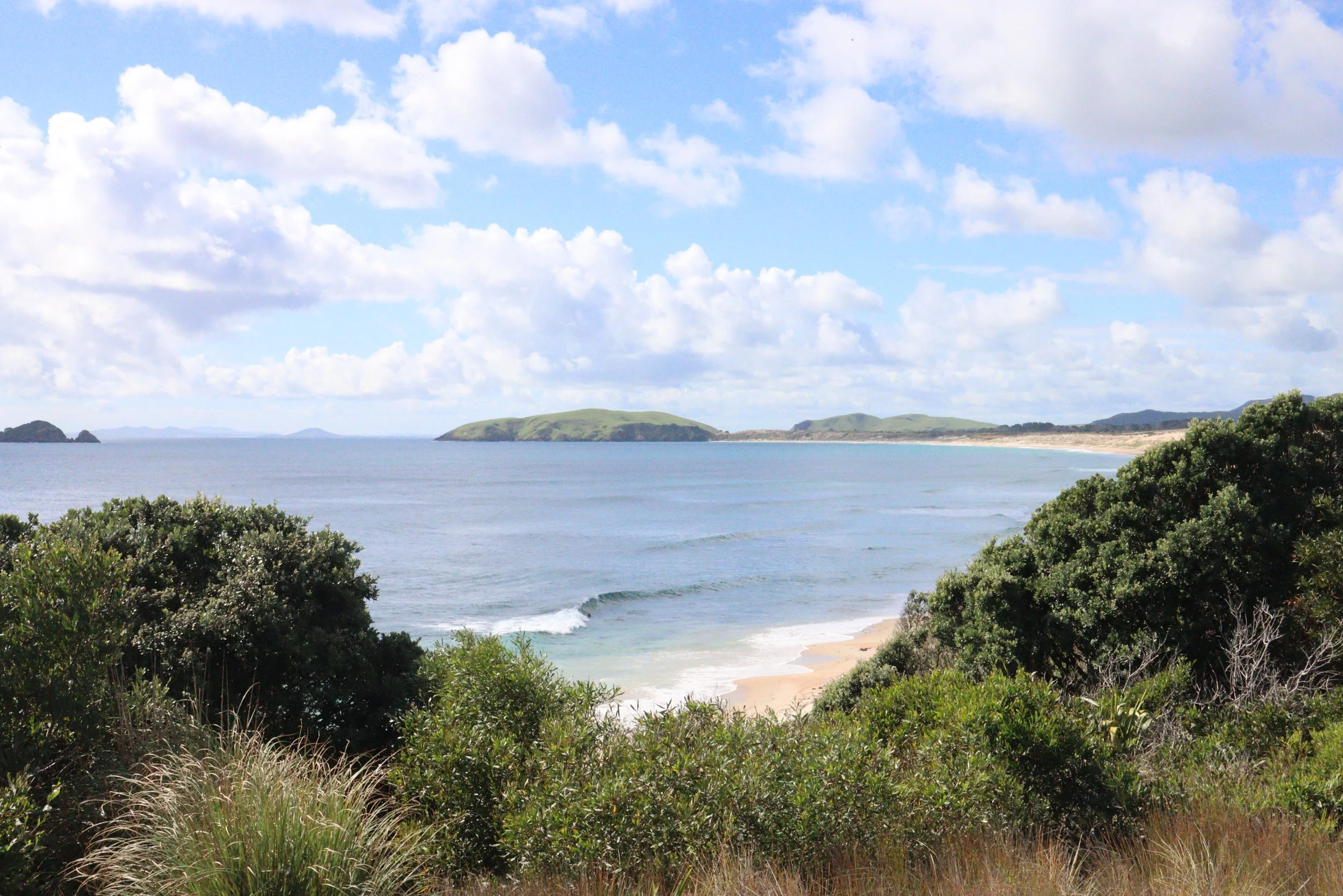 View of a coastal landscape with a sandy beach, green bushes and trees in the foreground, calm water, islands in the distance, and a partly cloudy sky.