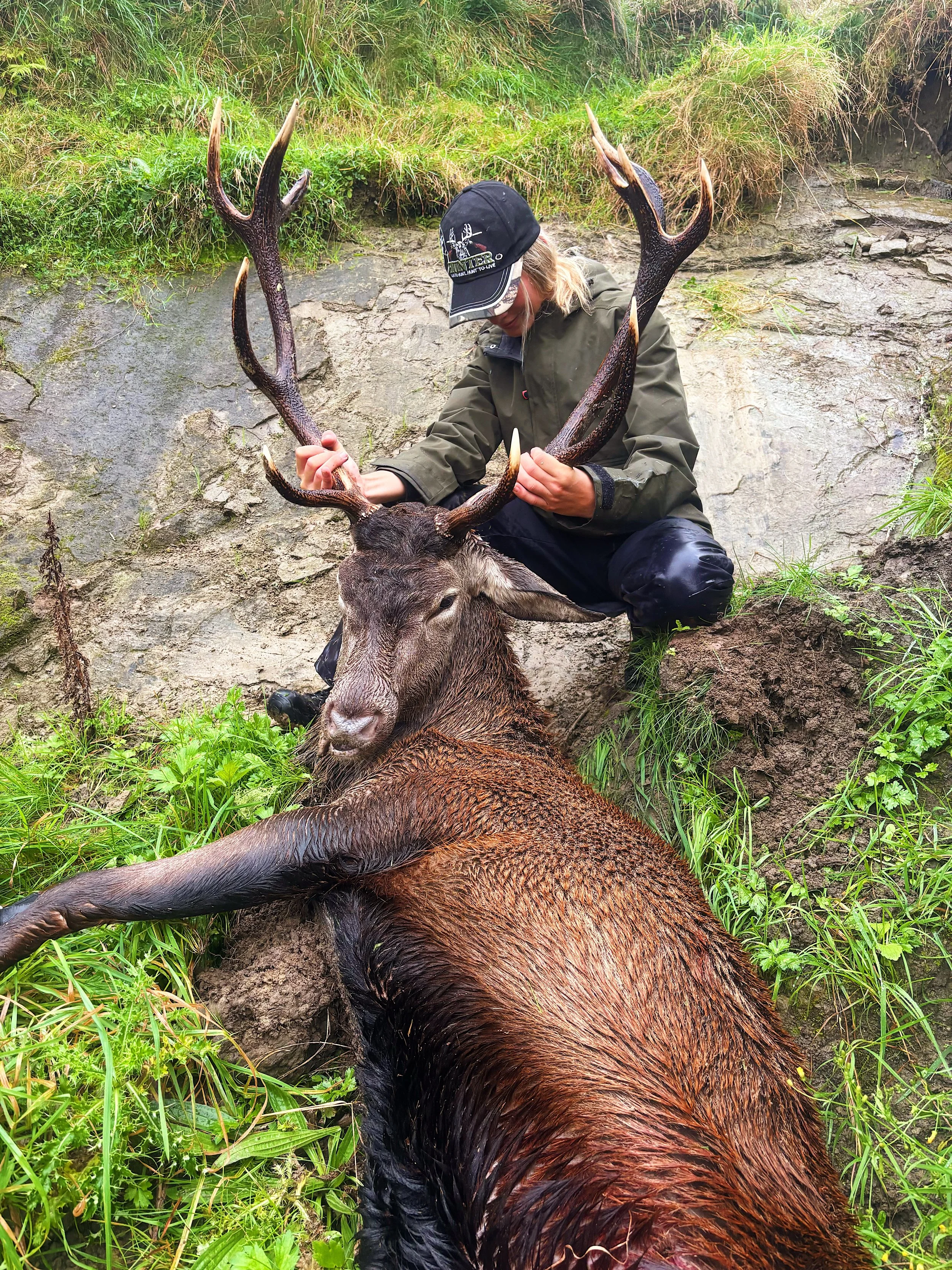 A person in outdoor clothing is kneeling next to a large, dead deer with prominent antlers, in a grassy, rocky outdoor setting.