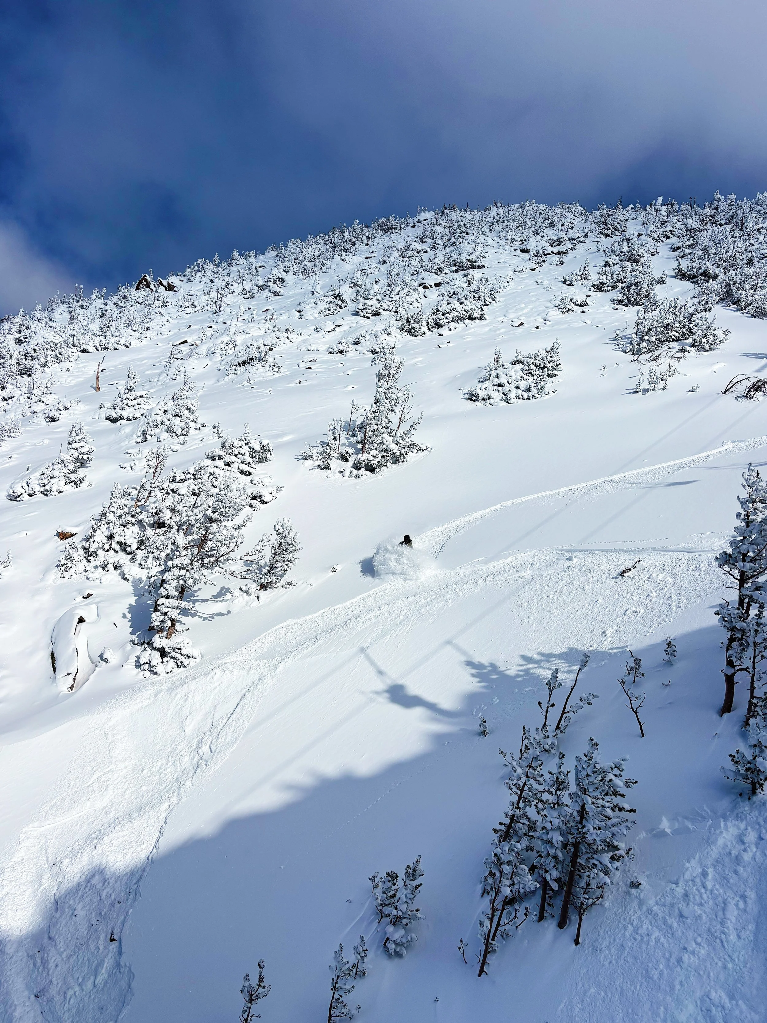 Snow-covered mountain slope with sparse trees and tracks in the snow, under a cloudy sky.