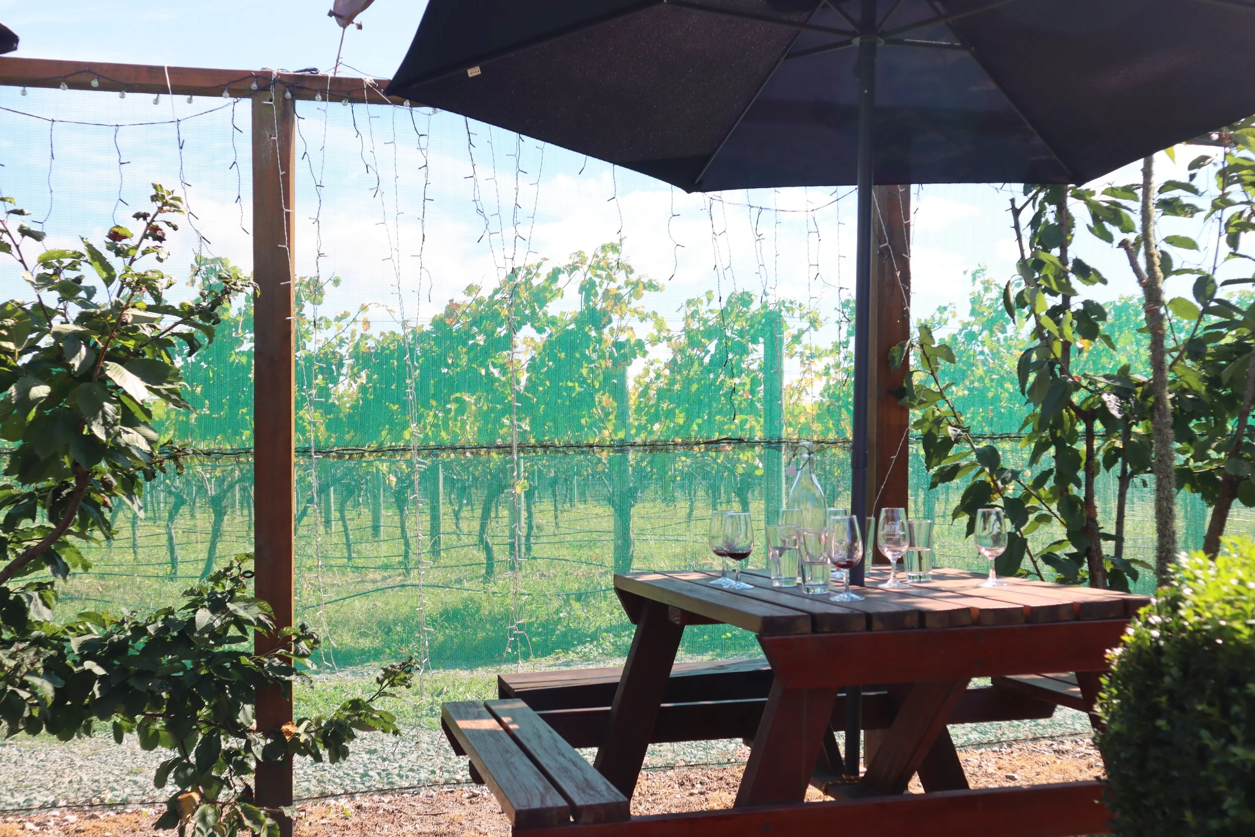 Outdoor patio with wooden picnic table set for wine, shaded by a large umbrella, surrounded by green grapevines and trees, with a vineyard in the background.