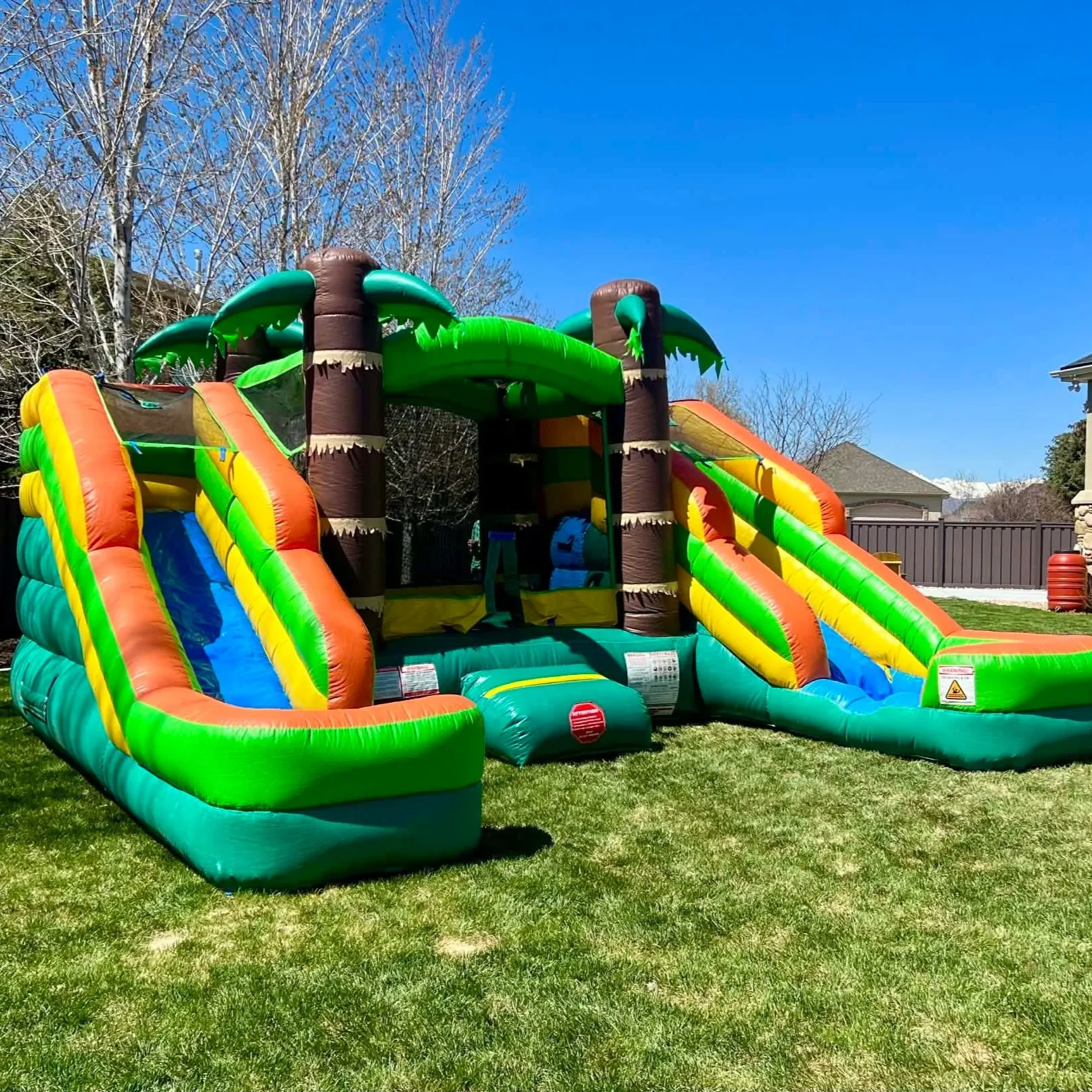 The Tropical Paradise Combo