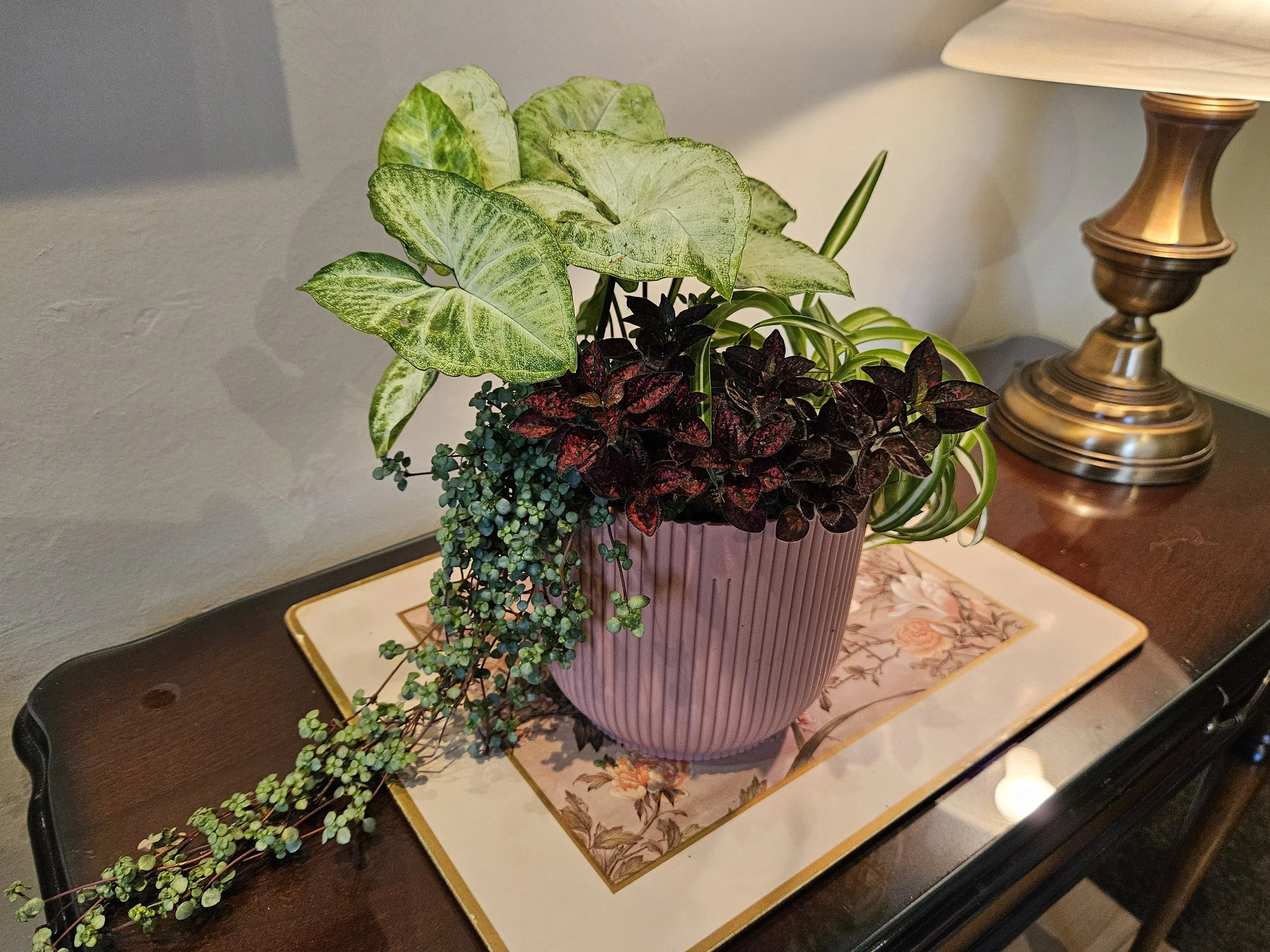 Pot de plantes vairées