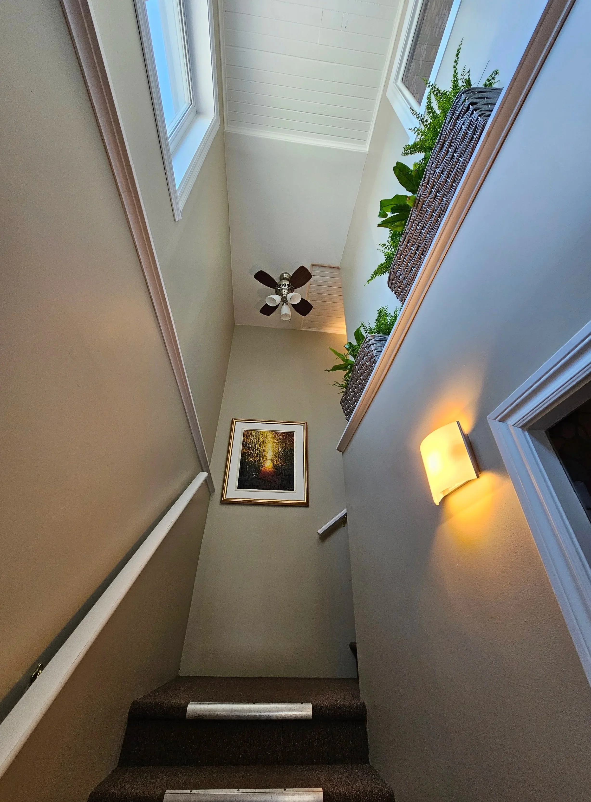 Couloir bordé de fougères vers les bureaux à l'étage