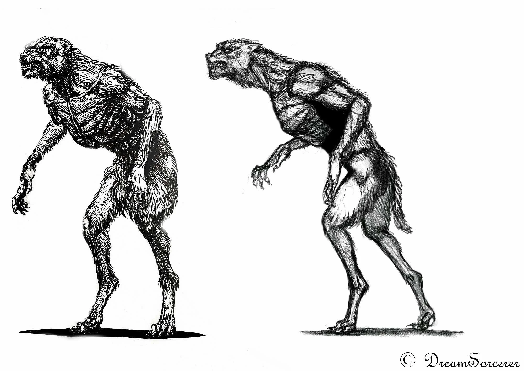 werewolves16.jpg