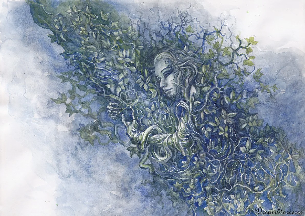 The Dryad (2012)