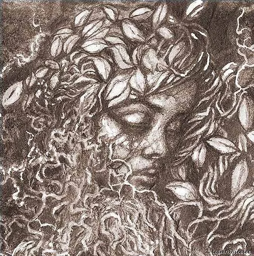 dryad2.jpg