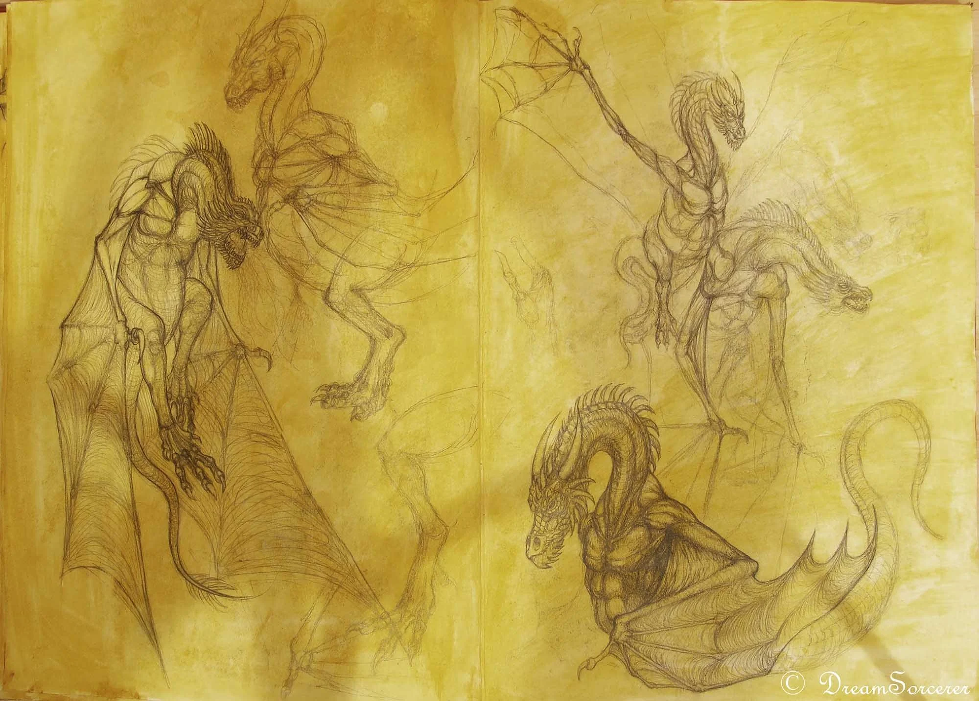 dragons58.jpg