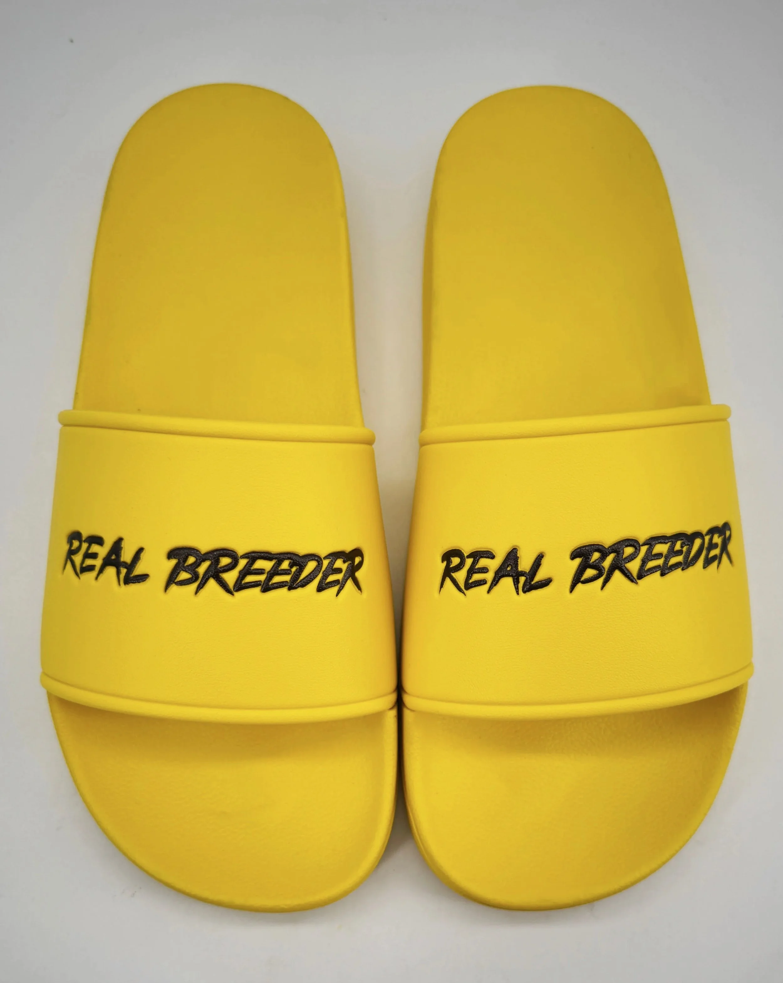 Real Breeder Slides