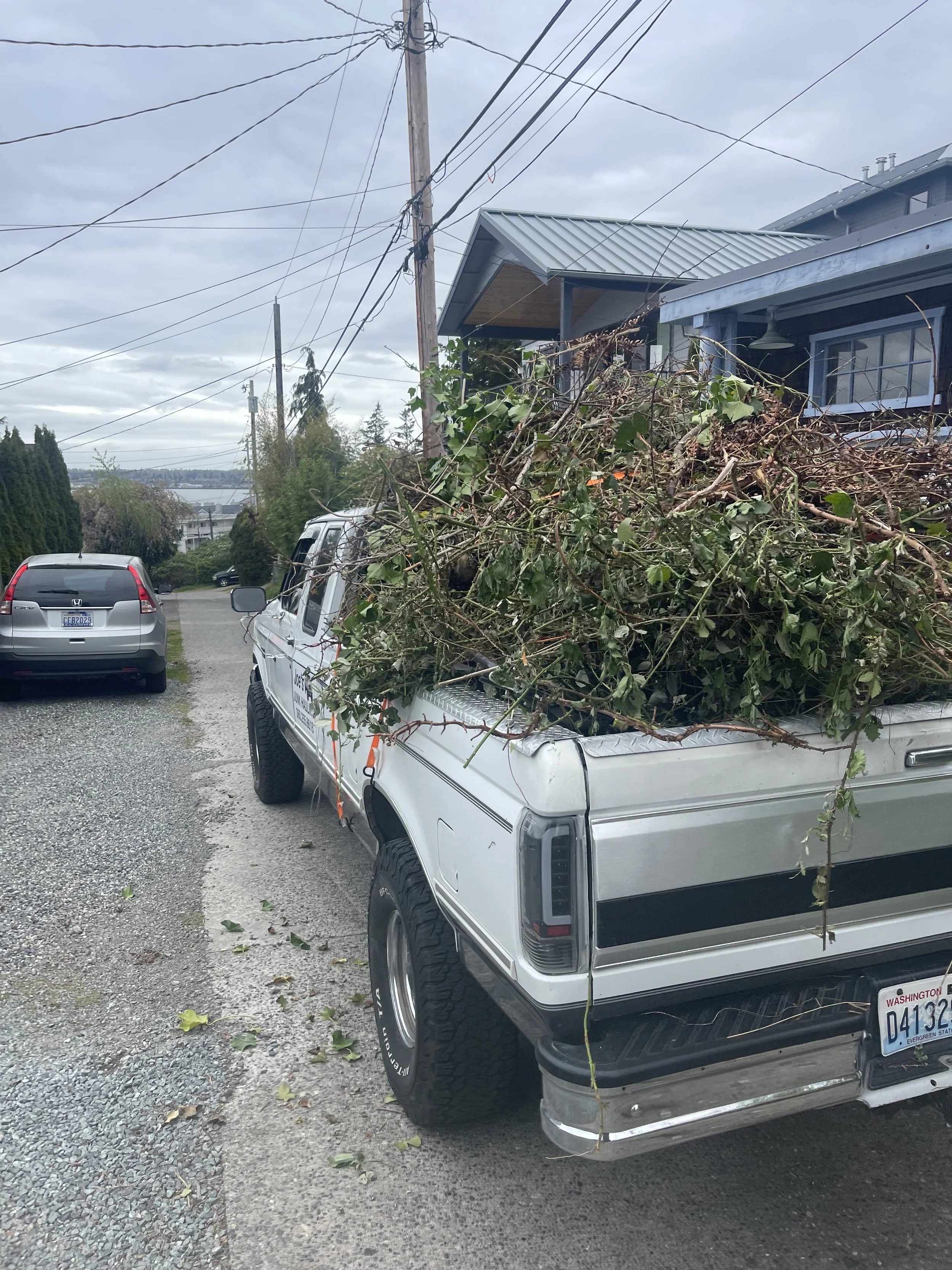 IMG_2773.jpg