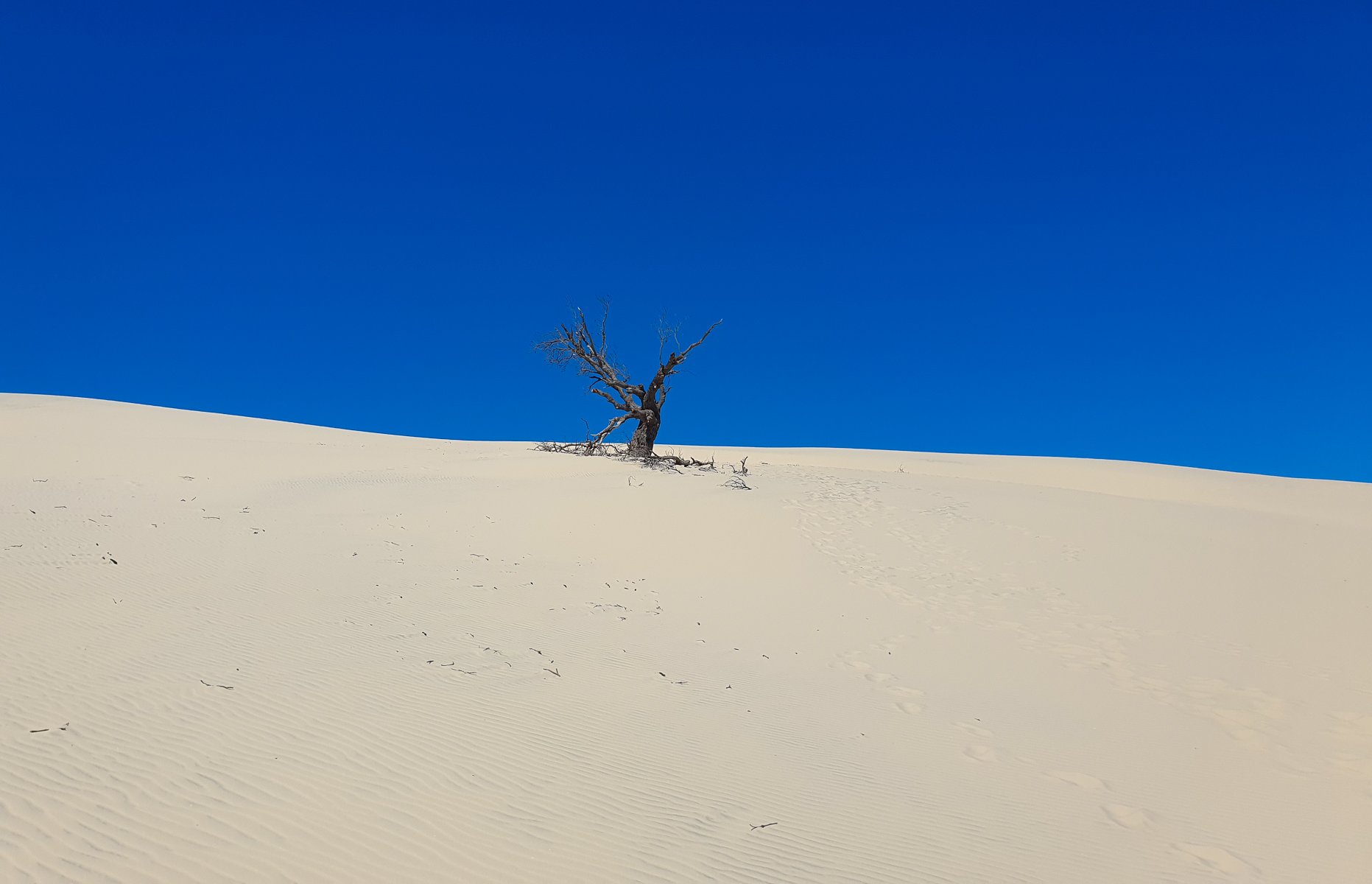 B Grade Digital - Steve Stoke - One Tree Dune