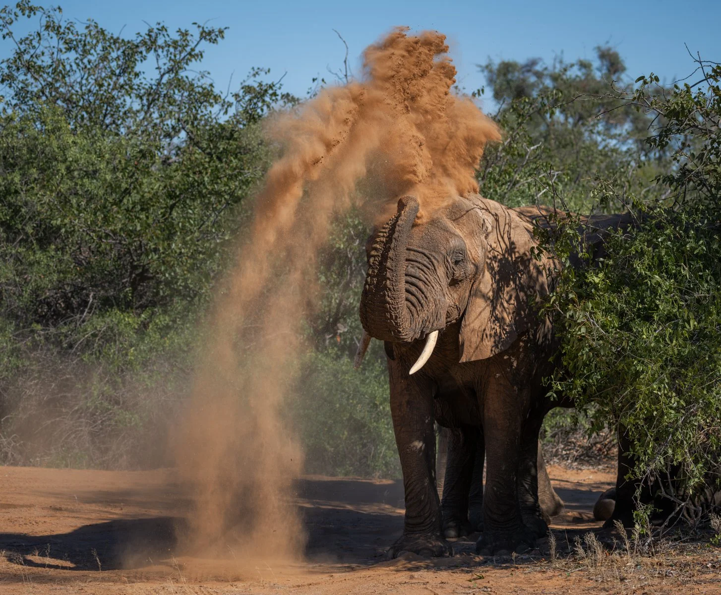 Nature - It's raining sand - Charlotte Steyn