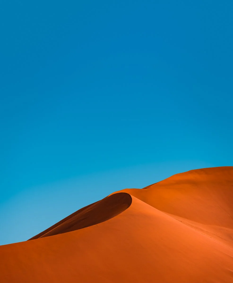 A Grade Print - Charlotte Steyn - Desert Curve
