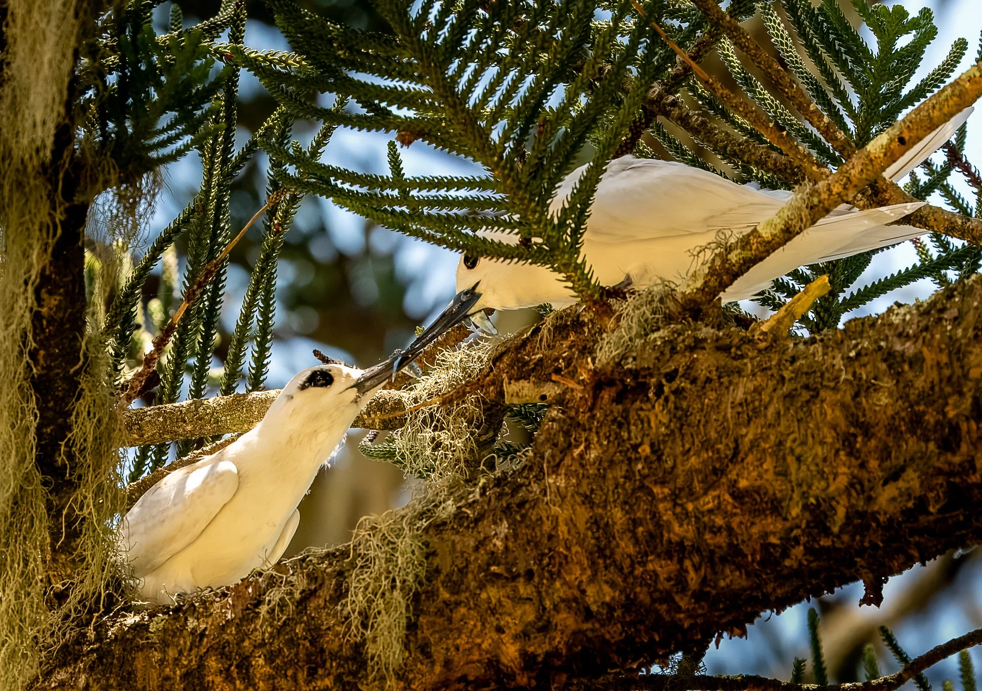 Nature - Mother & Daughter Moment - Leanne Stonehouse
