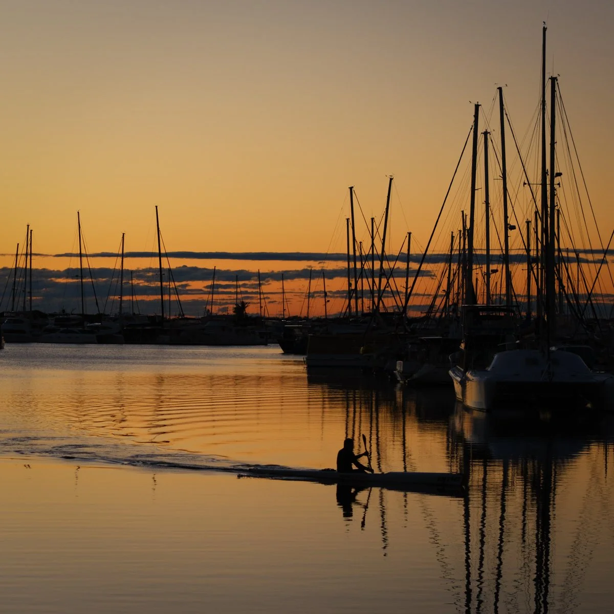 A Grade Print - Daniel Hillier - Morning Paddle