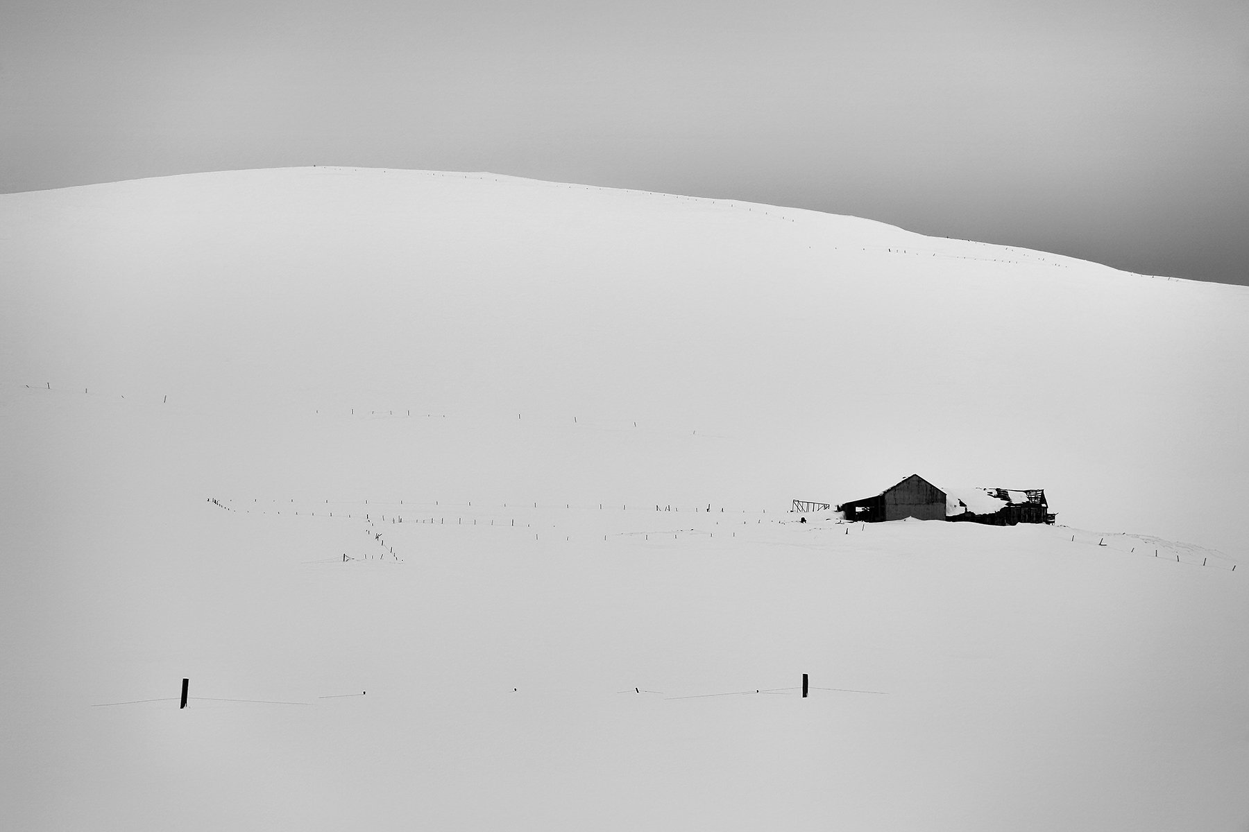 A Grade Digital - Steven Fraser - Almost A White Out