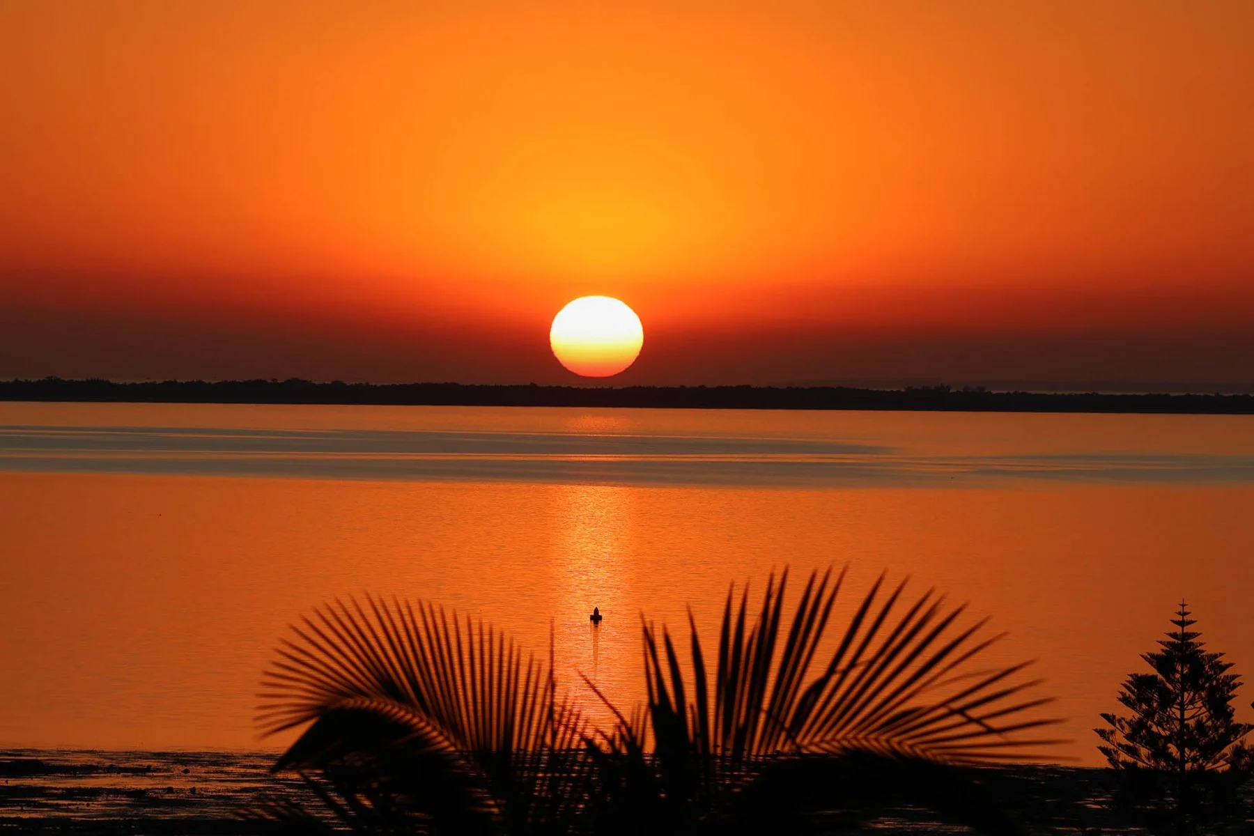 B Grade Digital - Diana Moore - Golden hour sunrise