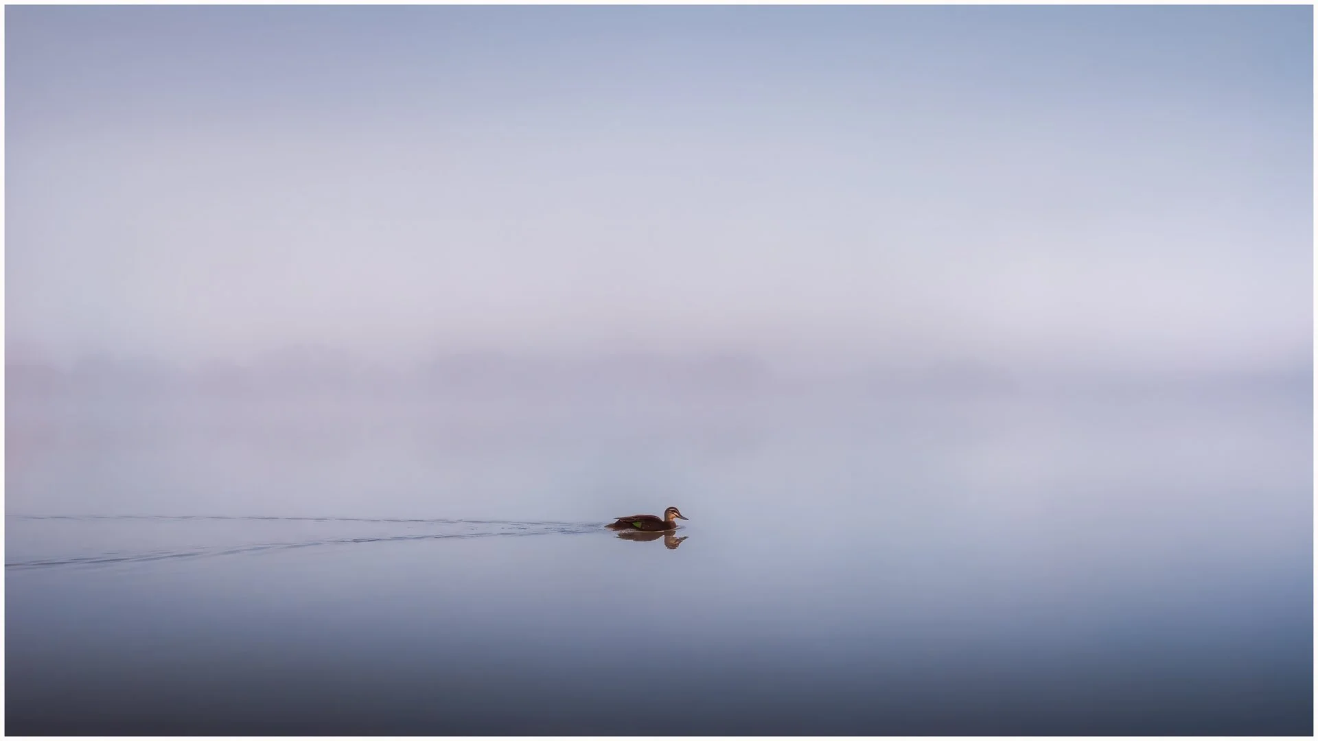 A Grade Digital - Mike Hennessy - Fog on the Murray