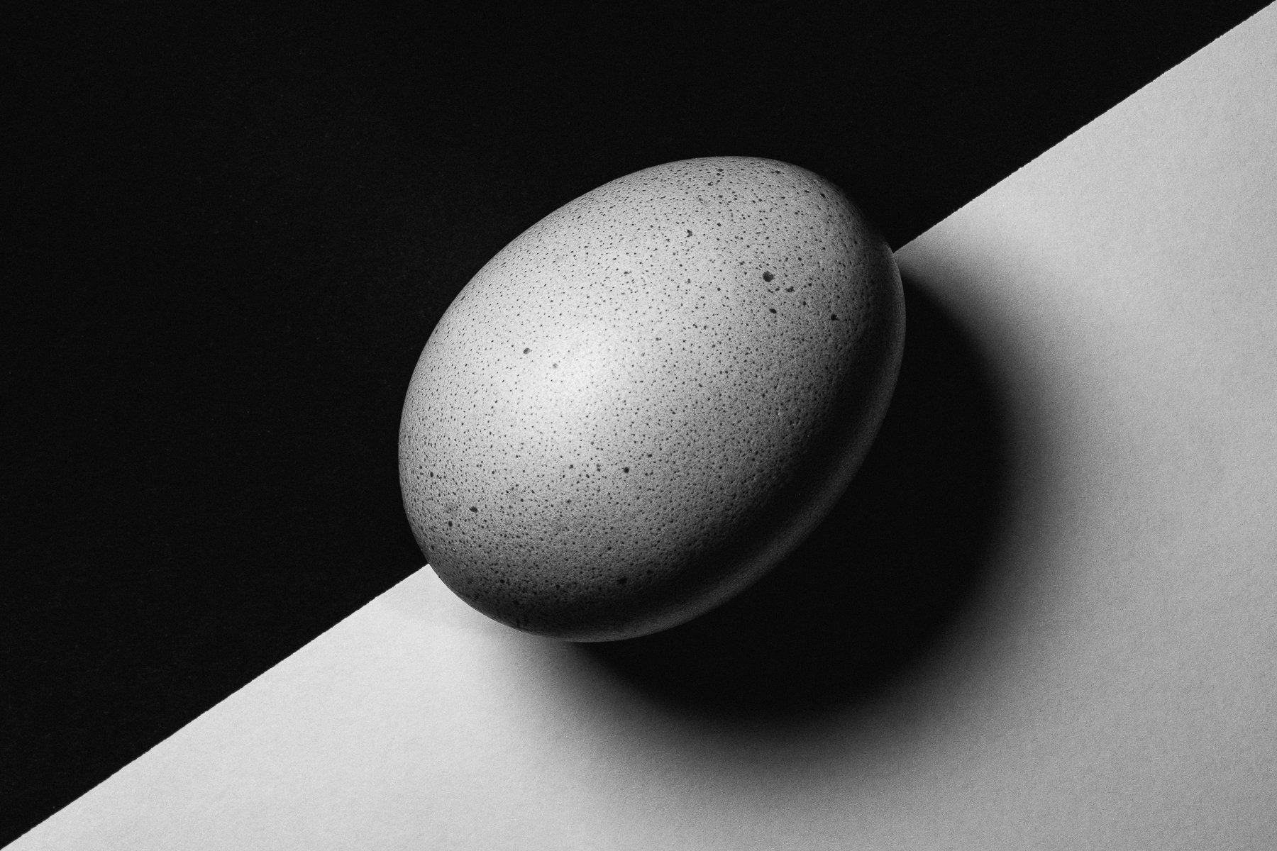 AB Grade Print - Kseniya Fox - The Egg Paradox